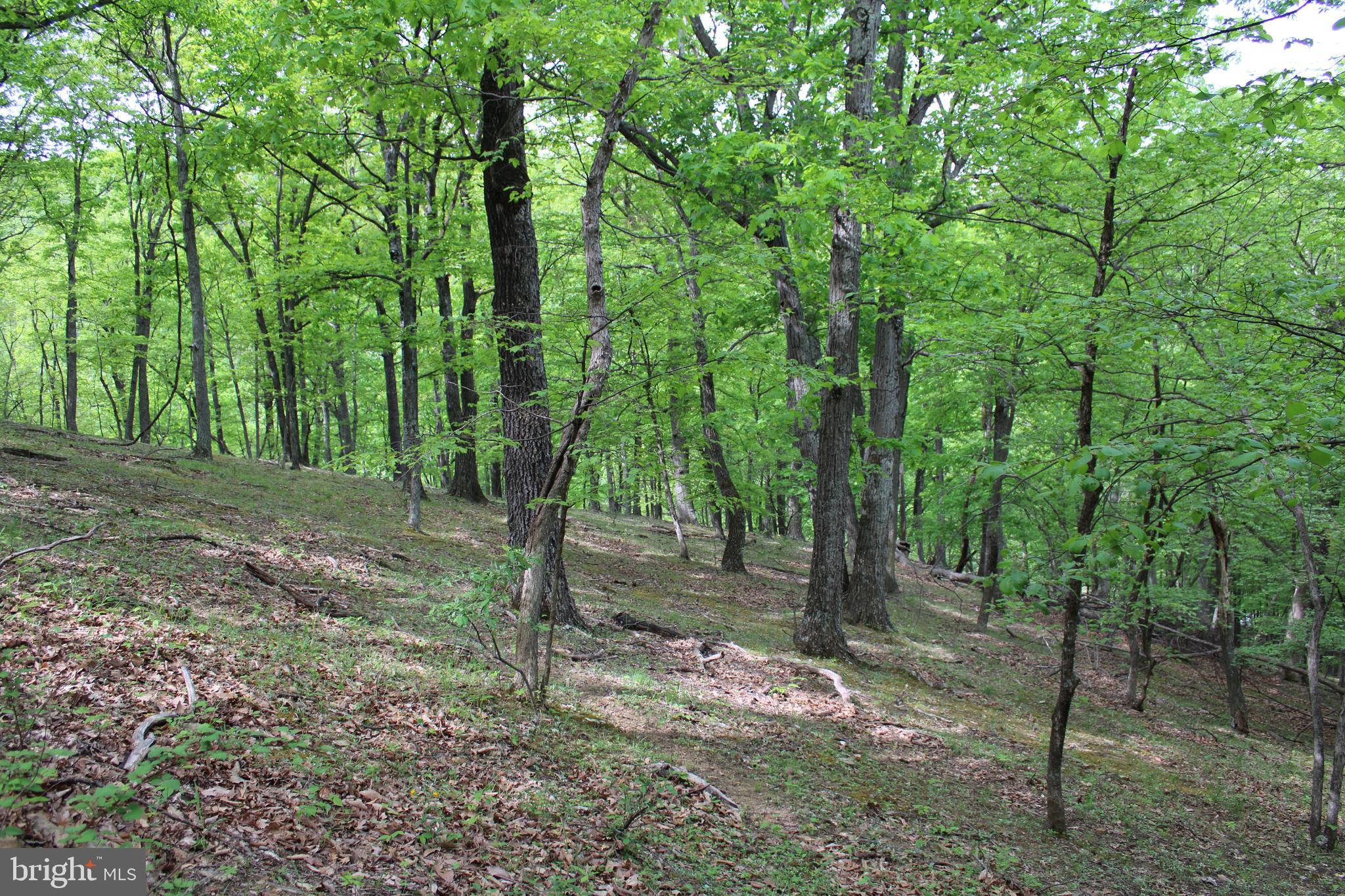 DEERFIELD HIGHLANDS - Land