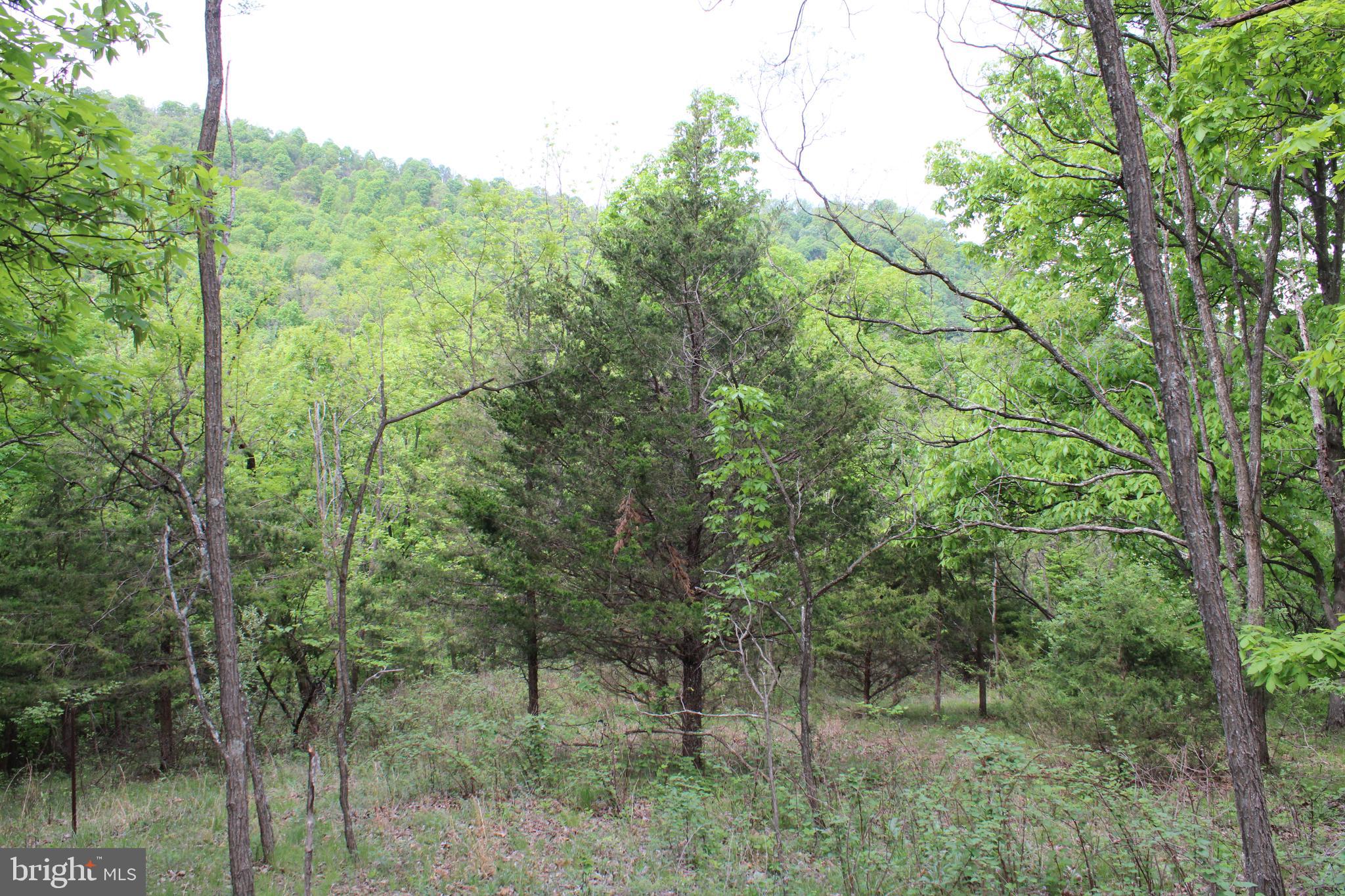 DEERFIELD HIGHLANDS - Land