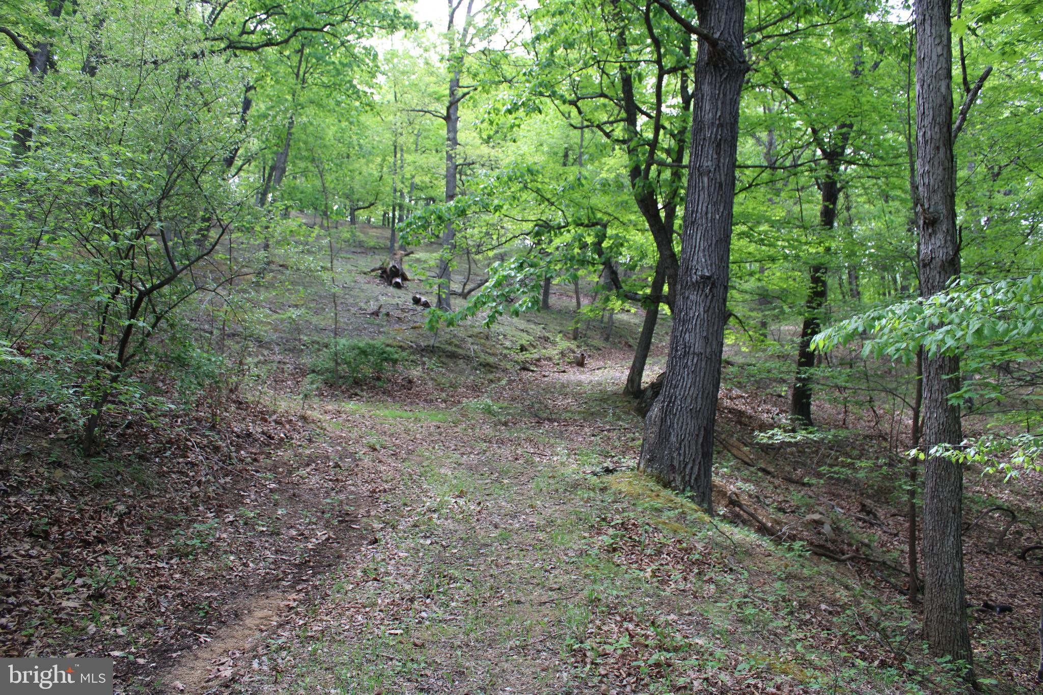 DEERFIELD HIGHLANDS - Land