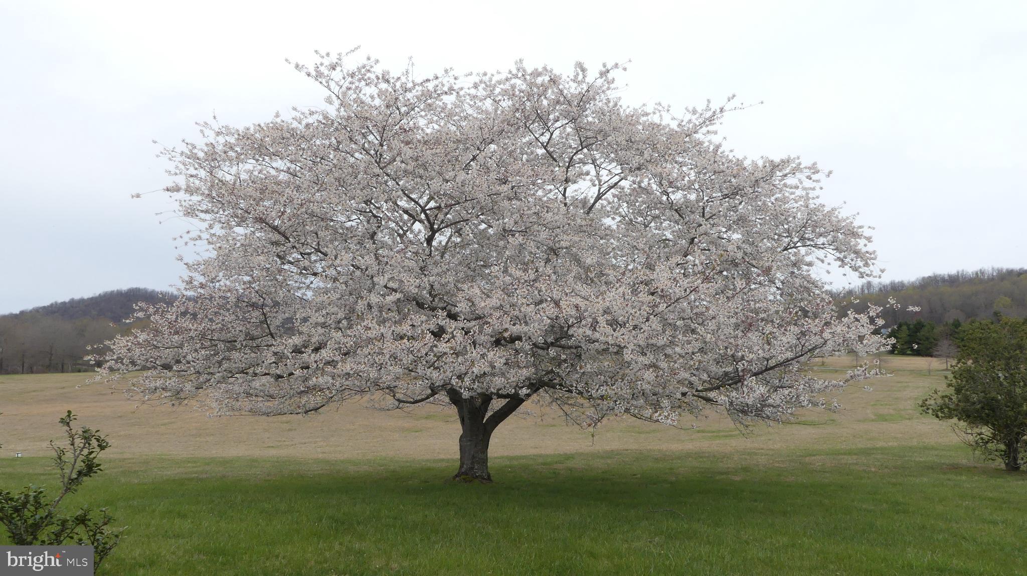 BLANDEMAR FARM ESTATES - Residential