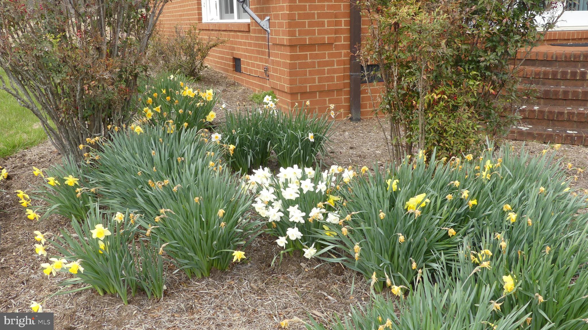 BLANDEMAR FARM ESTATES - Residential