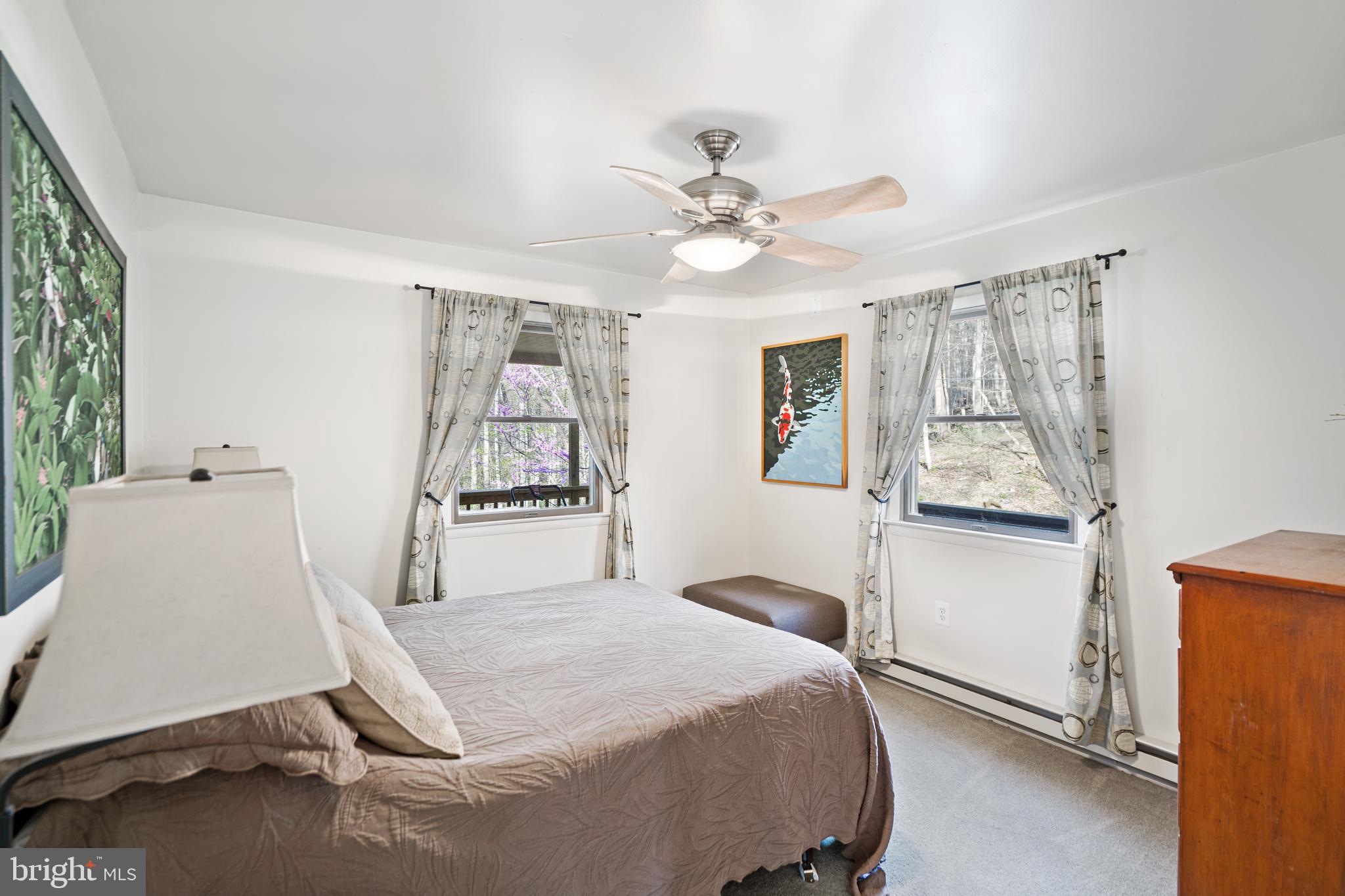 CACAPON RIVER COLONY - Residential