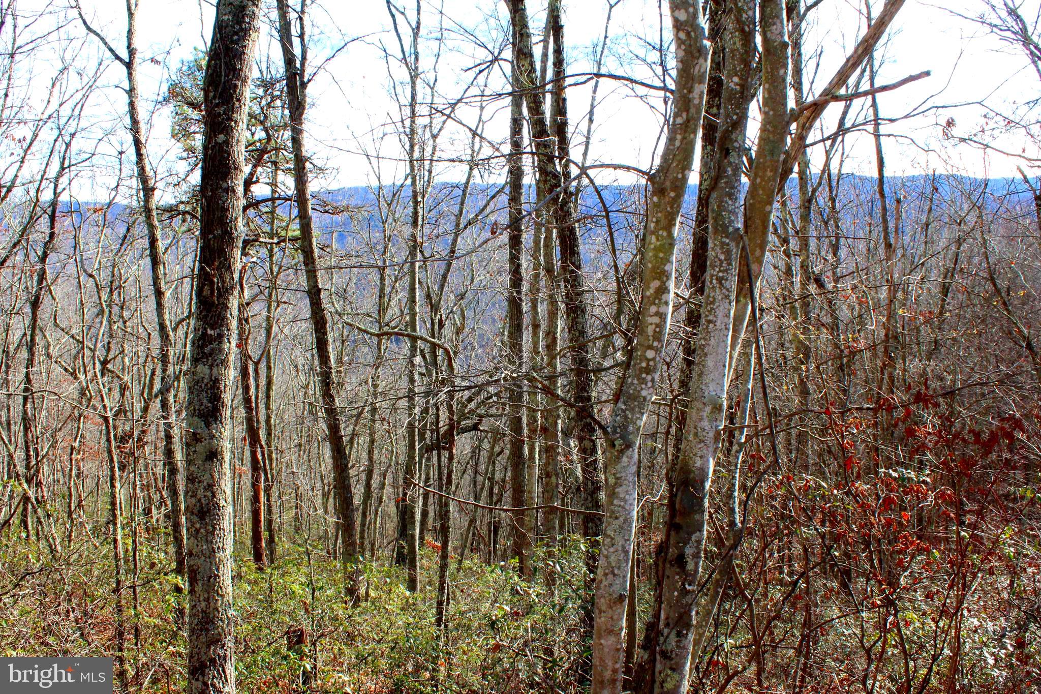 WOW WOW! 5 ACRE mountain top lot with a Eastern VIEWS for less than the county tax assessed value. Located in beautiful Pendleton County, WV where you can build your cabin retreat and enjoy the solitude and hear nothing but the birds chirping and leaves rustling. A spring stream flows through bottom of the property for your water feature. Own a piece of WV and not break your bank! Adjacent lot is also available for sale. Purchase both and have 10 acres to roam.