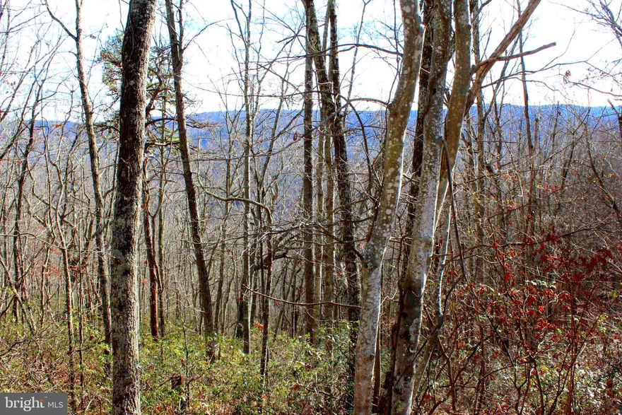 WOW WOW! 5 ACRE mountain top lot with a Eastern VIEWS for less than the county tax assessed value.  Located in beautiful Pendleton County, WV where you can build your cabin retreat and enjoy the solitude and hear nothing but the birds chirping and leaves rustling.  A spring stream flows through bottom of the property for your water feature.  Own a piece of WV and not break your bank!  Adjacent lot is also available for sale.  Purchase both and have 10 acres to roam.