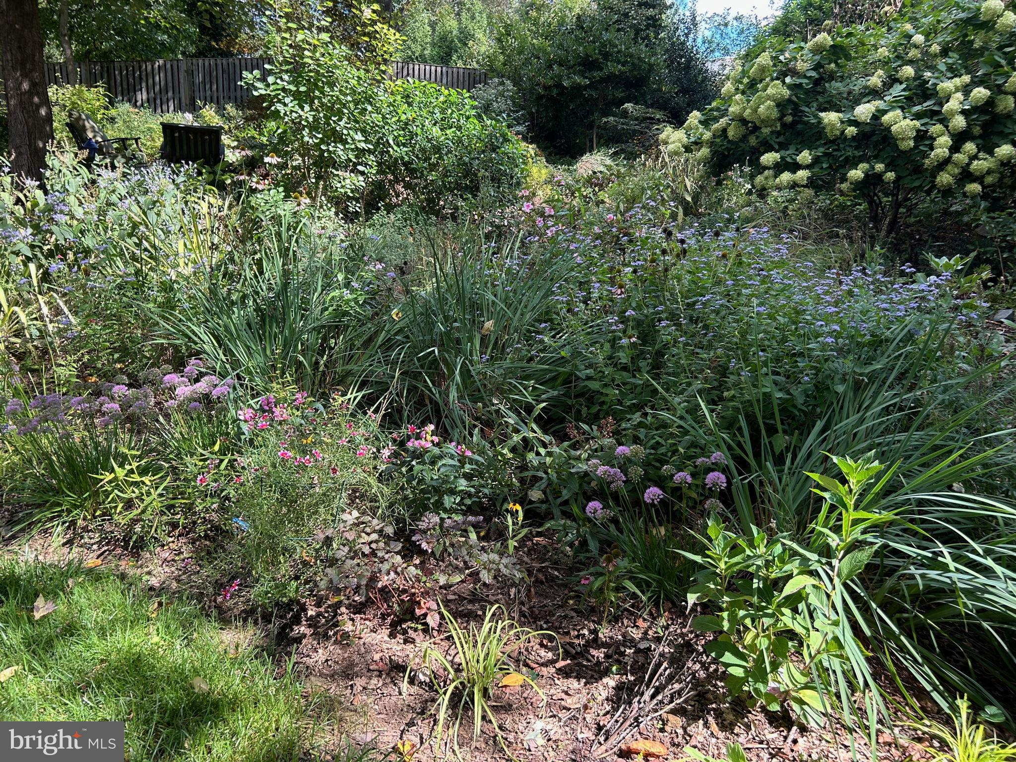 POTOMAC VILLAGE - Residential