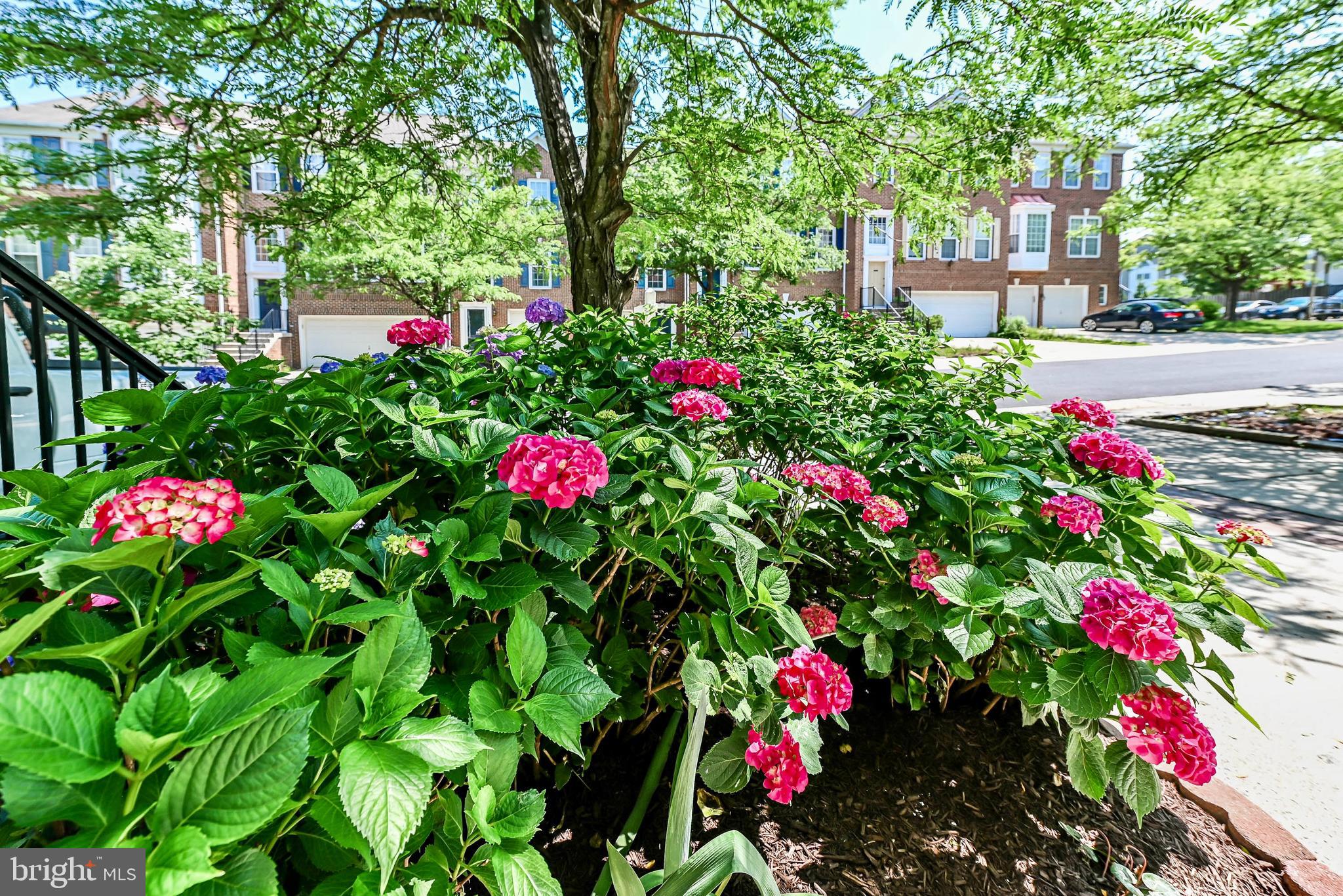 TALL OAKS - Residential