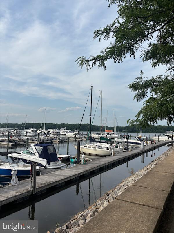 525 BELMONT BAY DRIVE 105