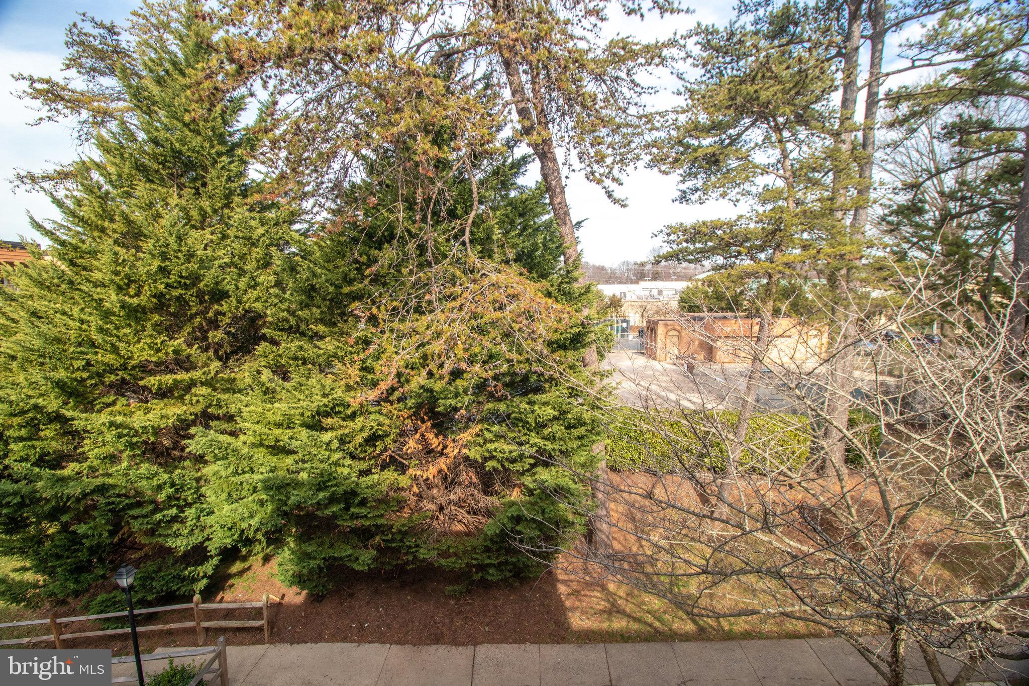 WALNUT GROVE - Residential