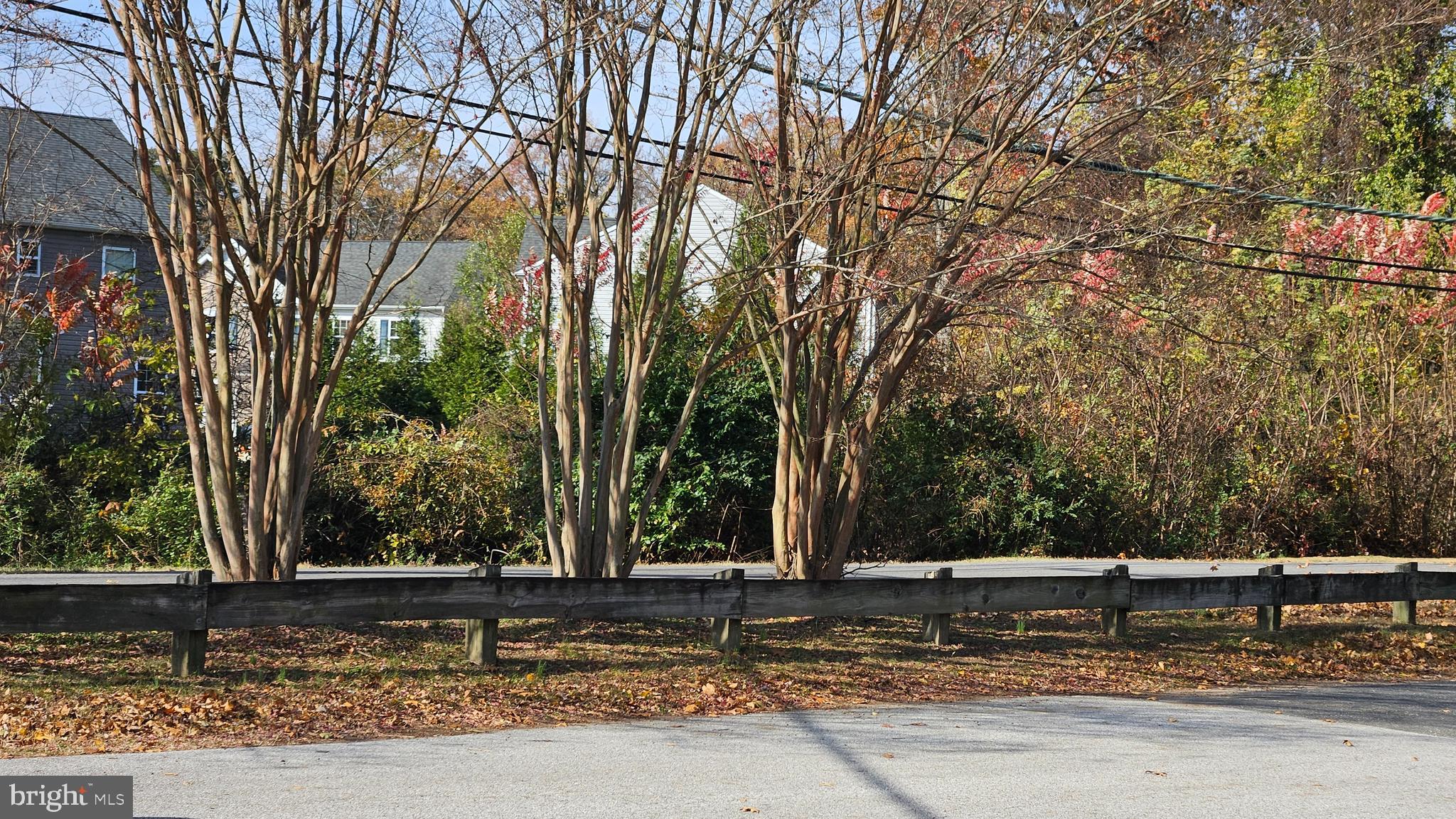 311 CATTAIL PASSAGE COURT