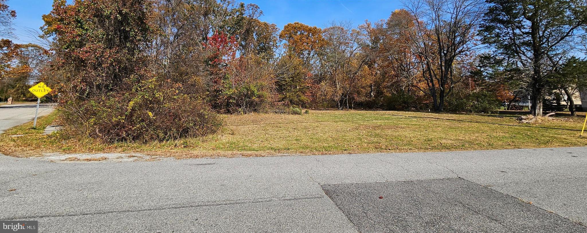 311 CATTAIL PASSAGE COURT