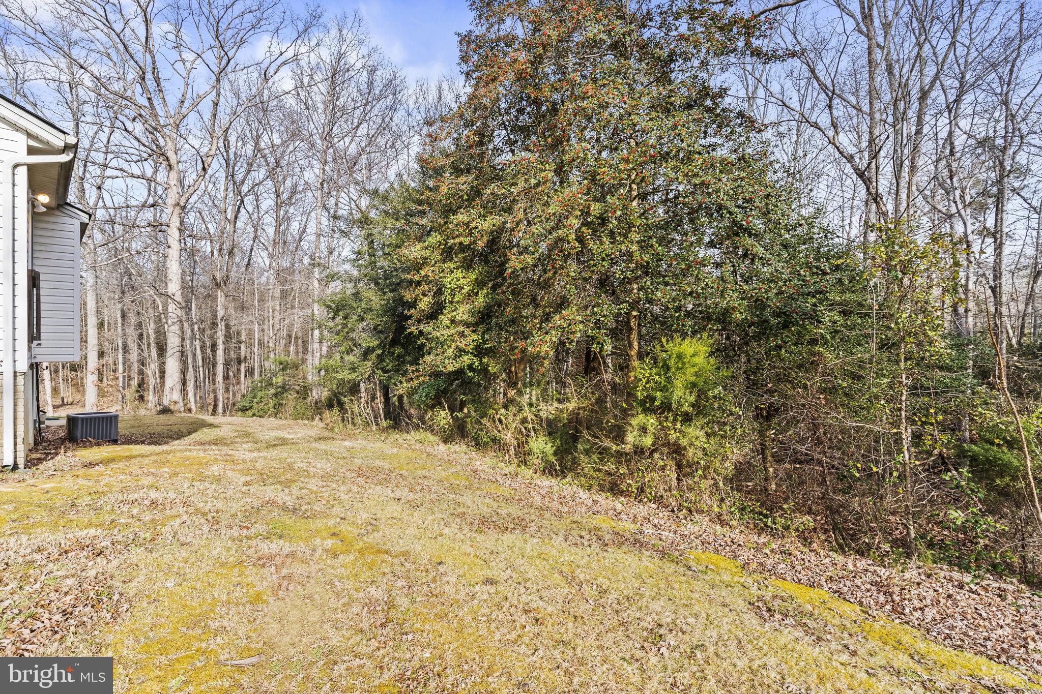 TOWN OF LA PLATA - Residential