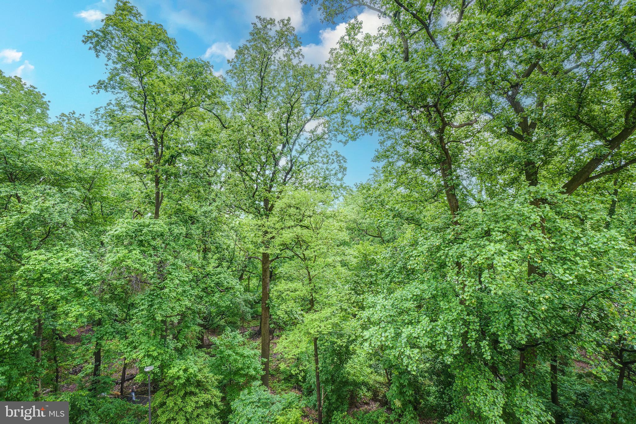 MONTEBELLO - Residential