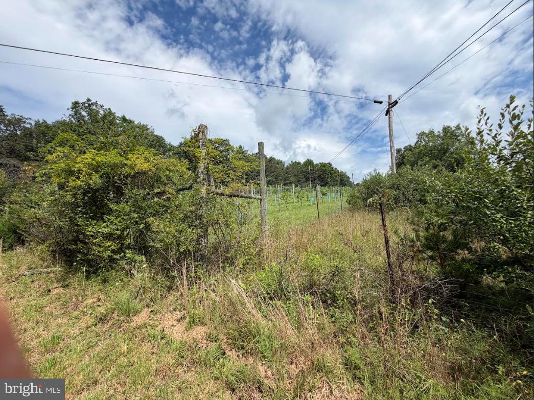 285 CLAY LICK RIDGE ROAD