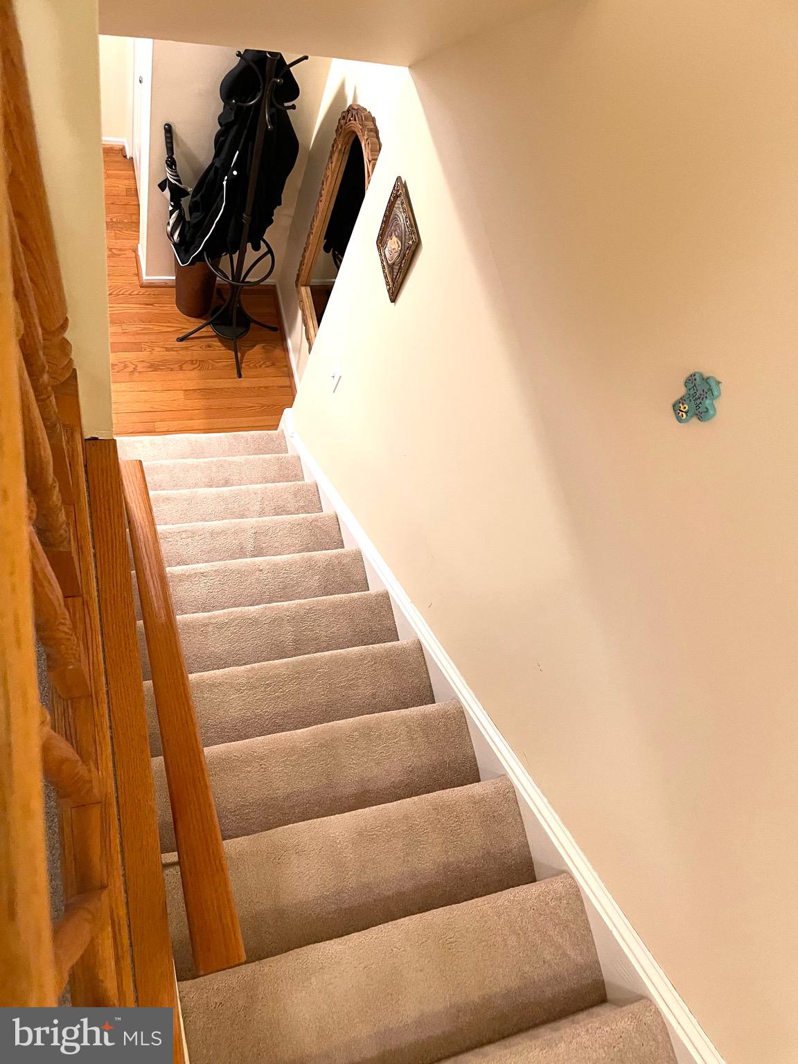 BONIFANT WOODS - Residential