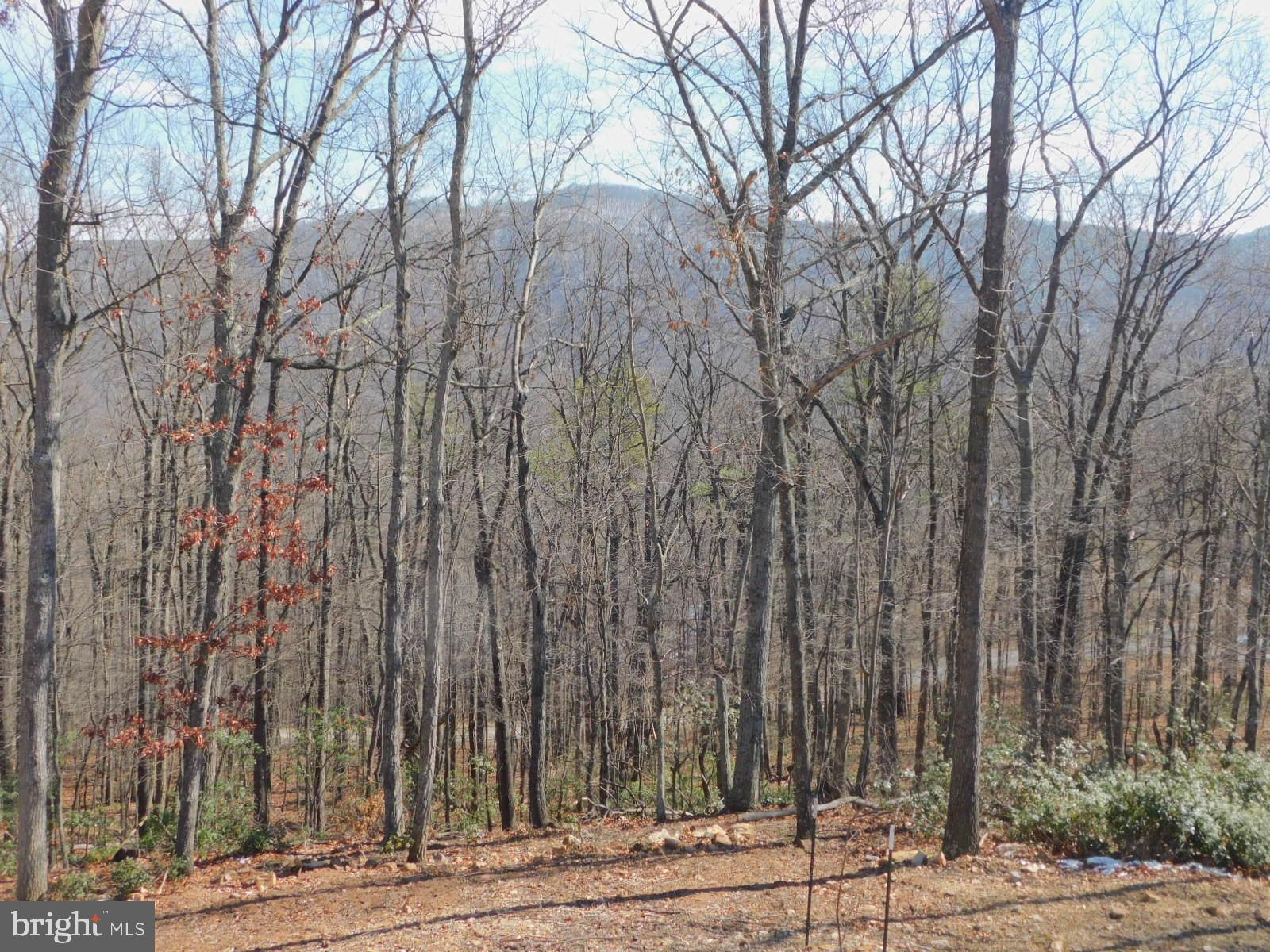 LOST RIVER BLUFFS - Residential