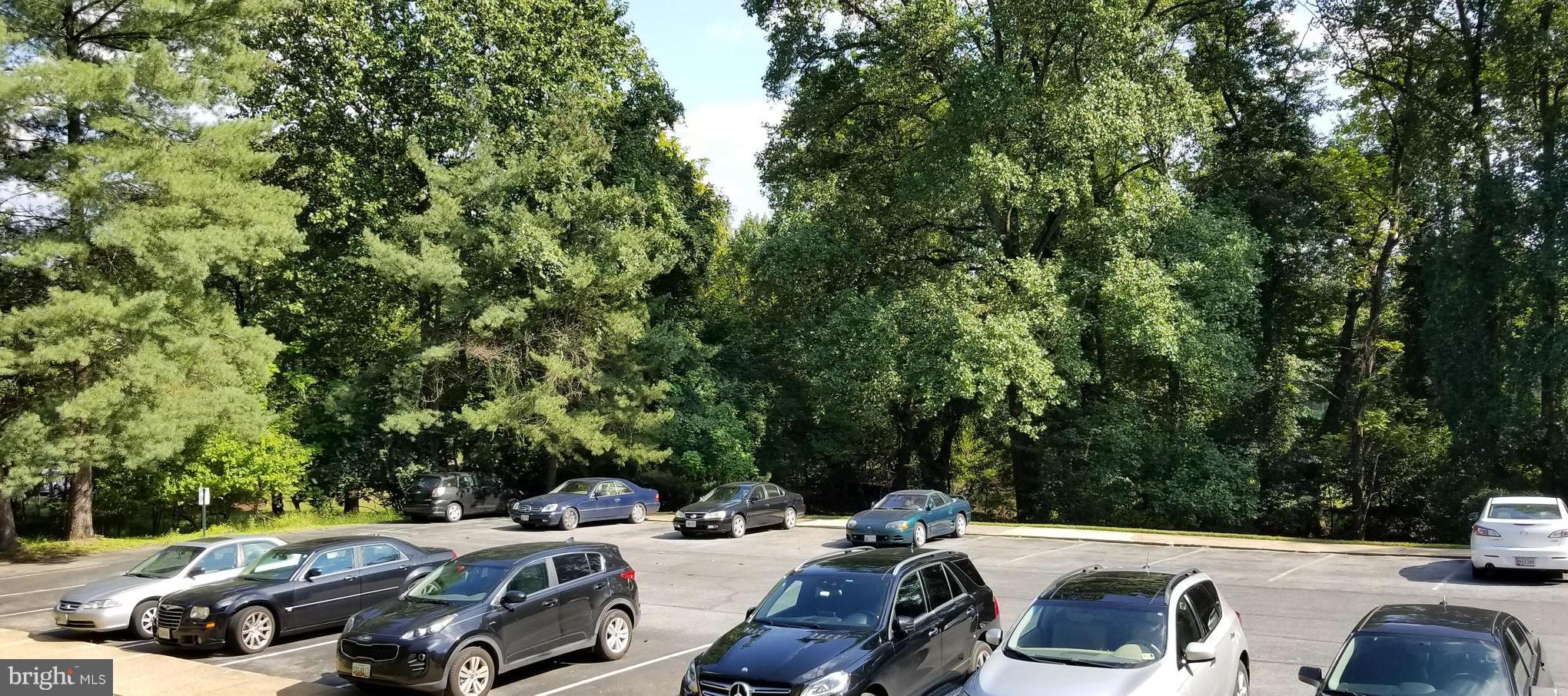 WOODMONT SPRINGS - Residential Lease