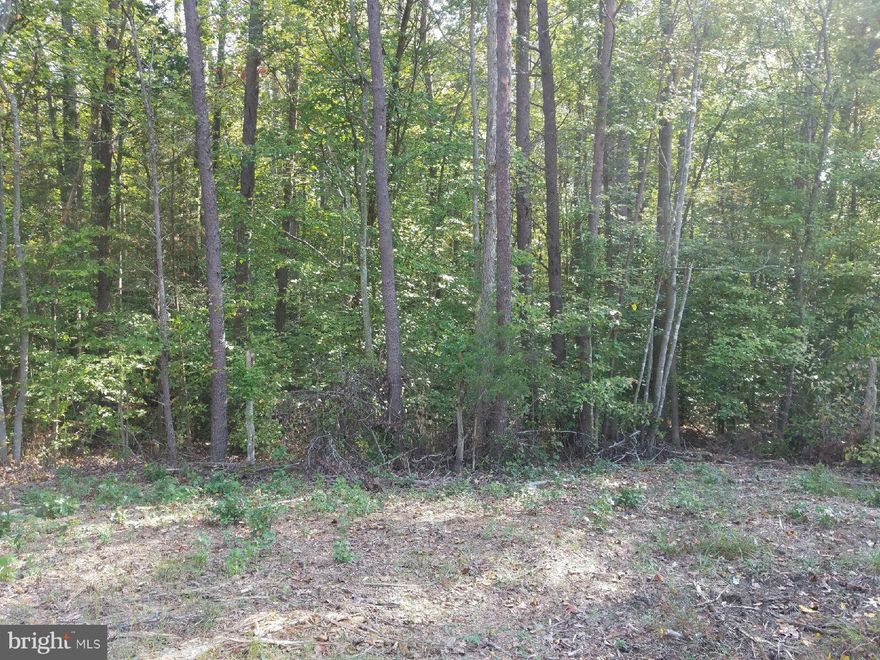 HUGE $25,000 PRICE DROP on this Wooded Building Lot just minutes from 95, Geico and Celebrate VA.  Site Plan and Septic for 4BR Puraflo were Approved in 2006.  Permit has now expired but Site Plan and 2006 Septic Permit Available to review.