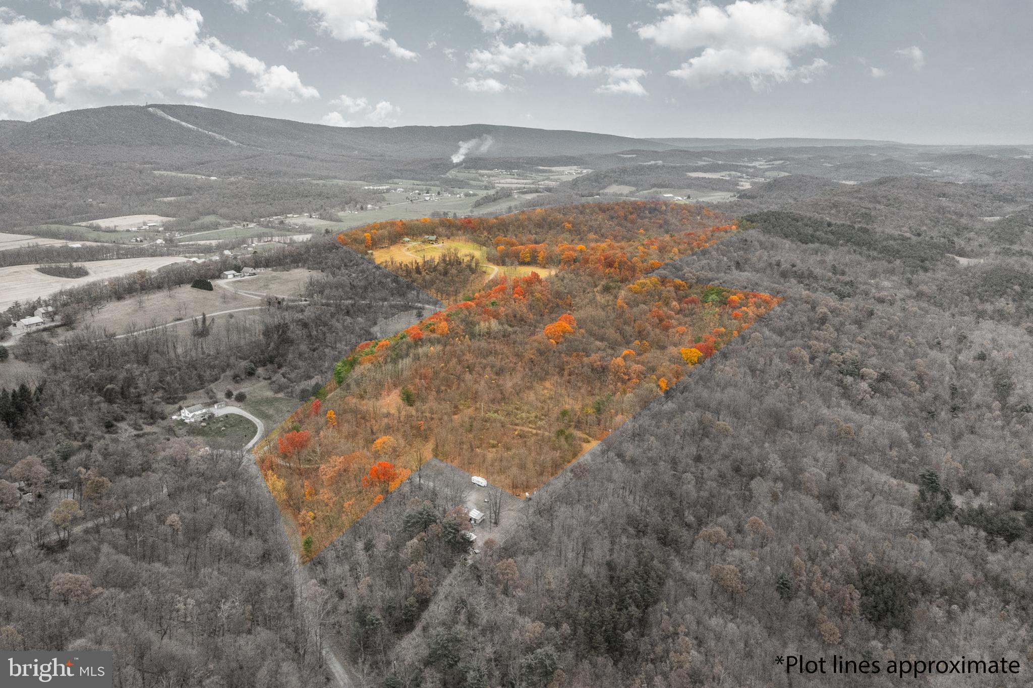 NONE AVAILABLE - Farm