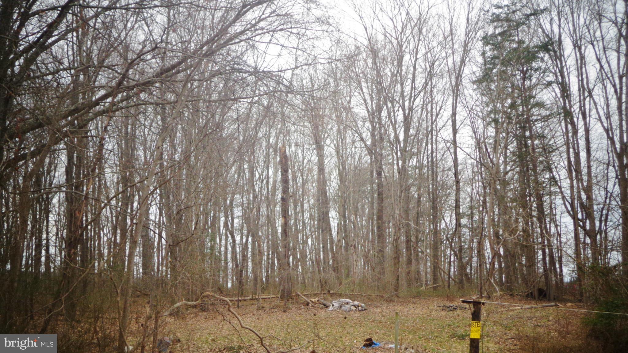 NONE AVAILABLE - Land