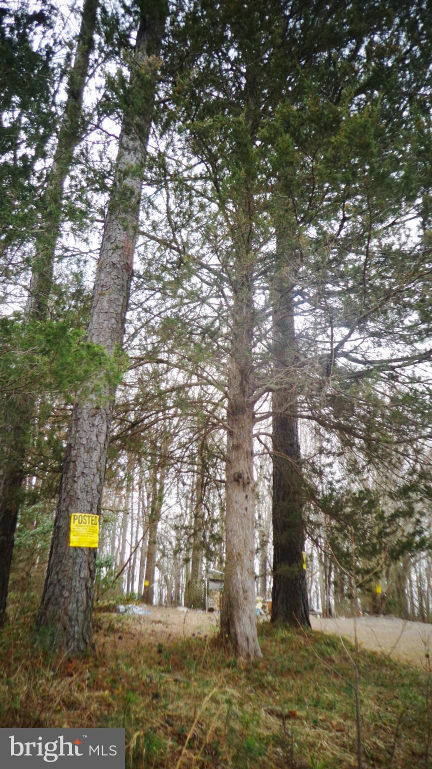 NONE AVAILABLE - Land