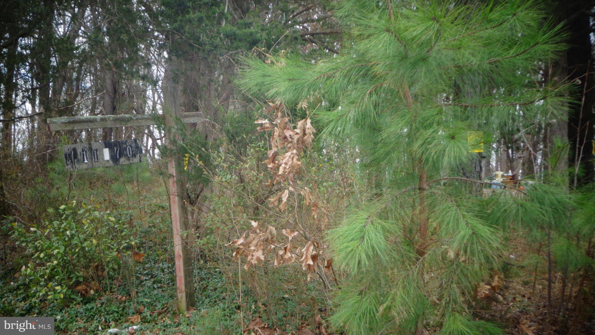 NONE AVAILABLE - Land