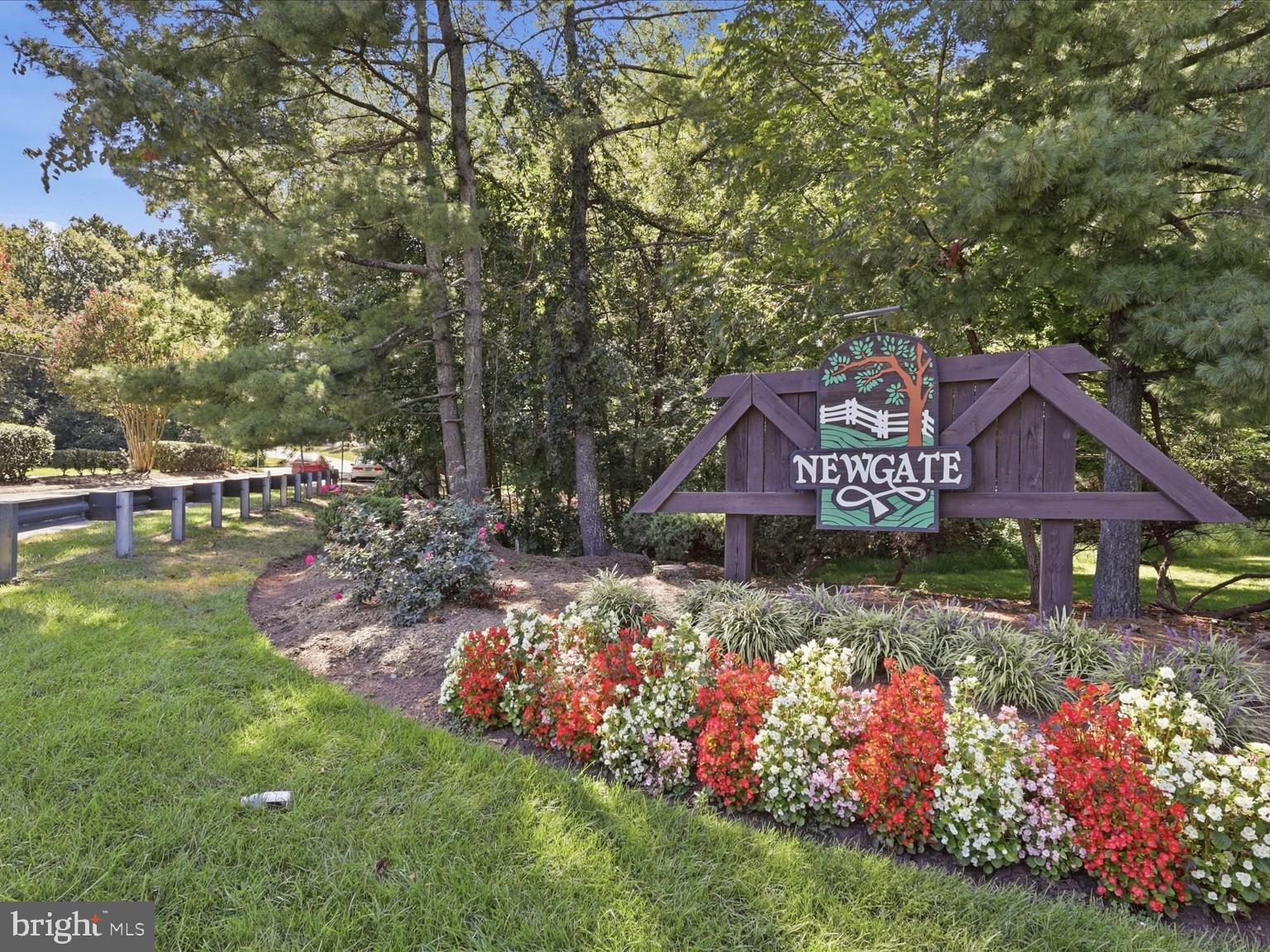 14314 WATERY MOUNTAIN COURT