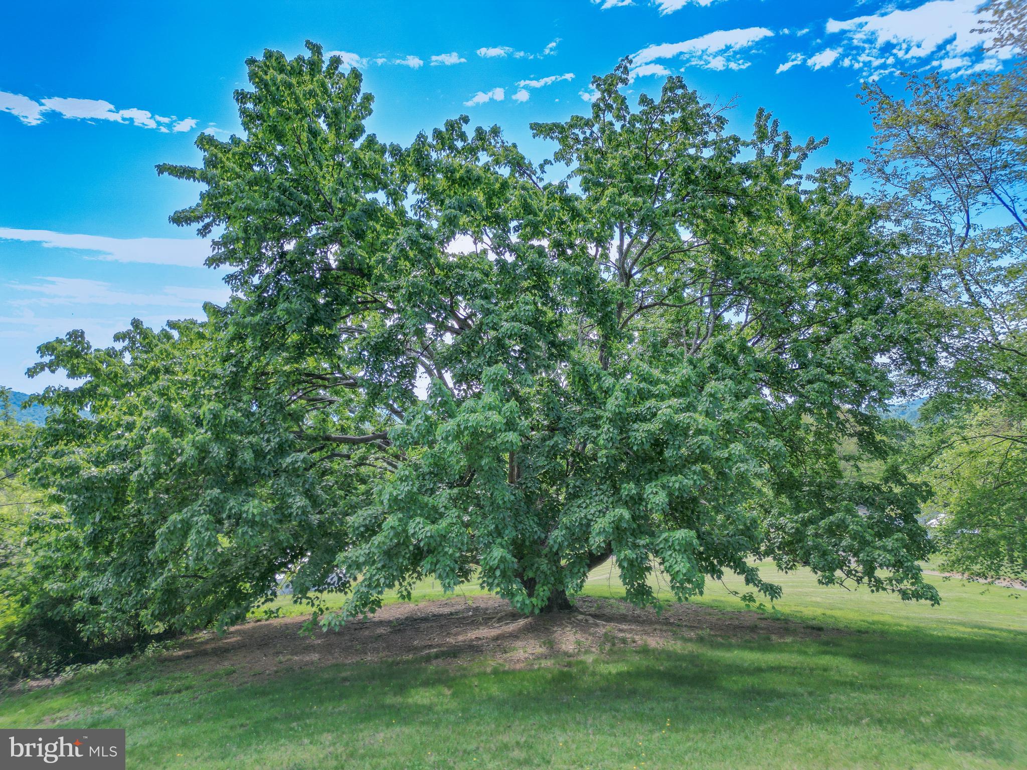 OVENTOP MOUNTAIN - Residential