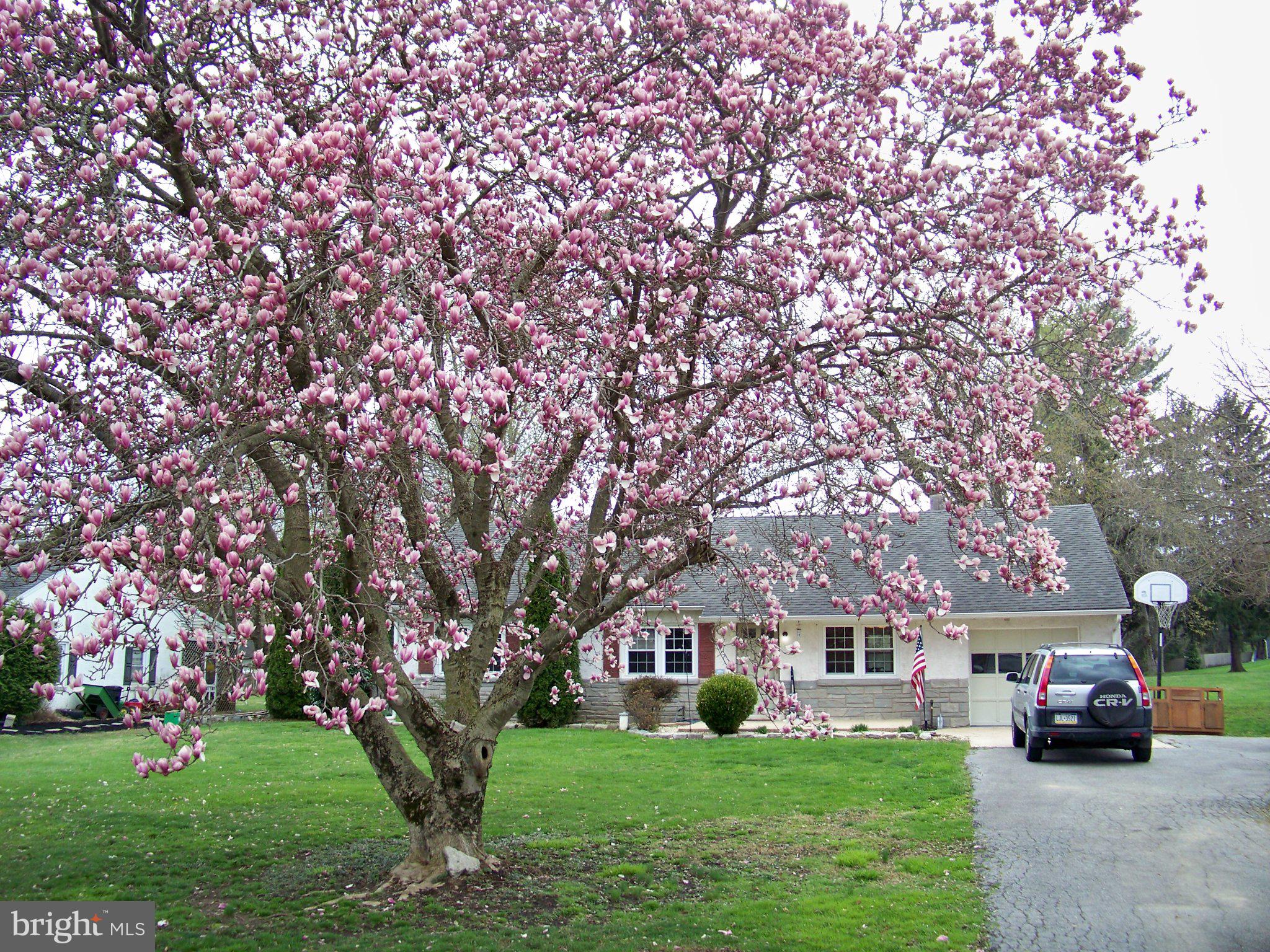 GLENMOORE - Residential