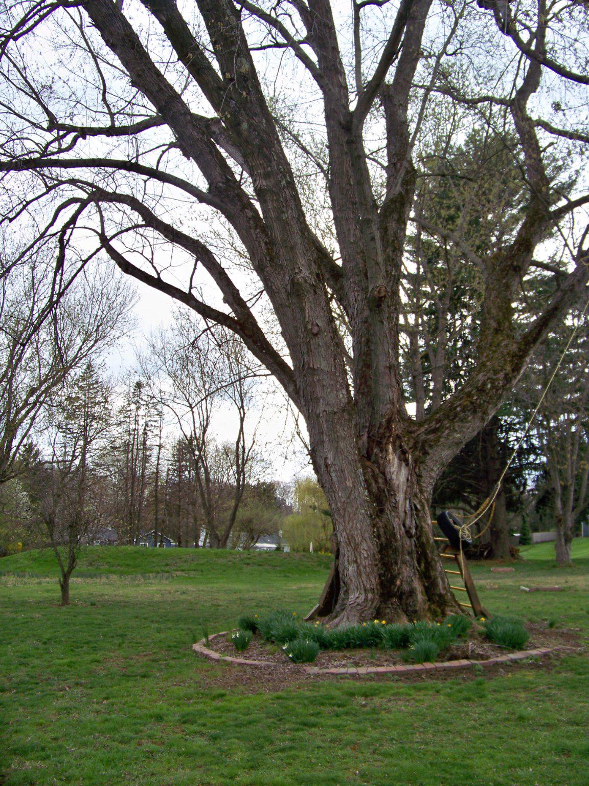 GLENMOORE - Residential