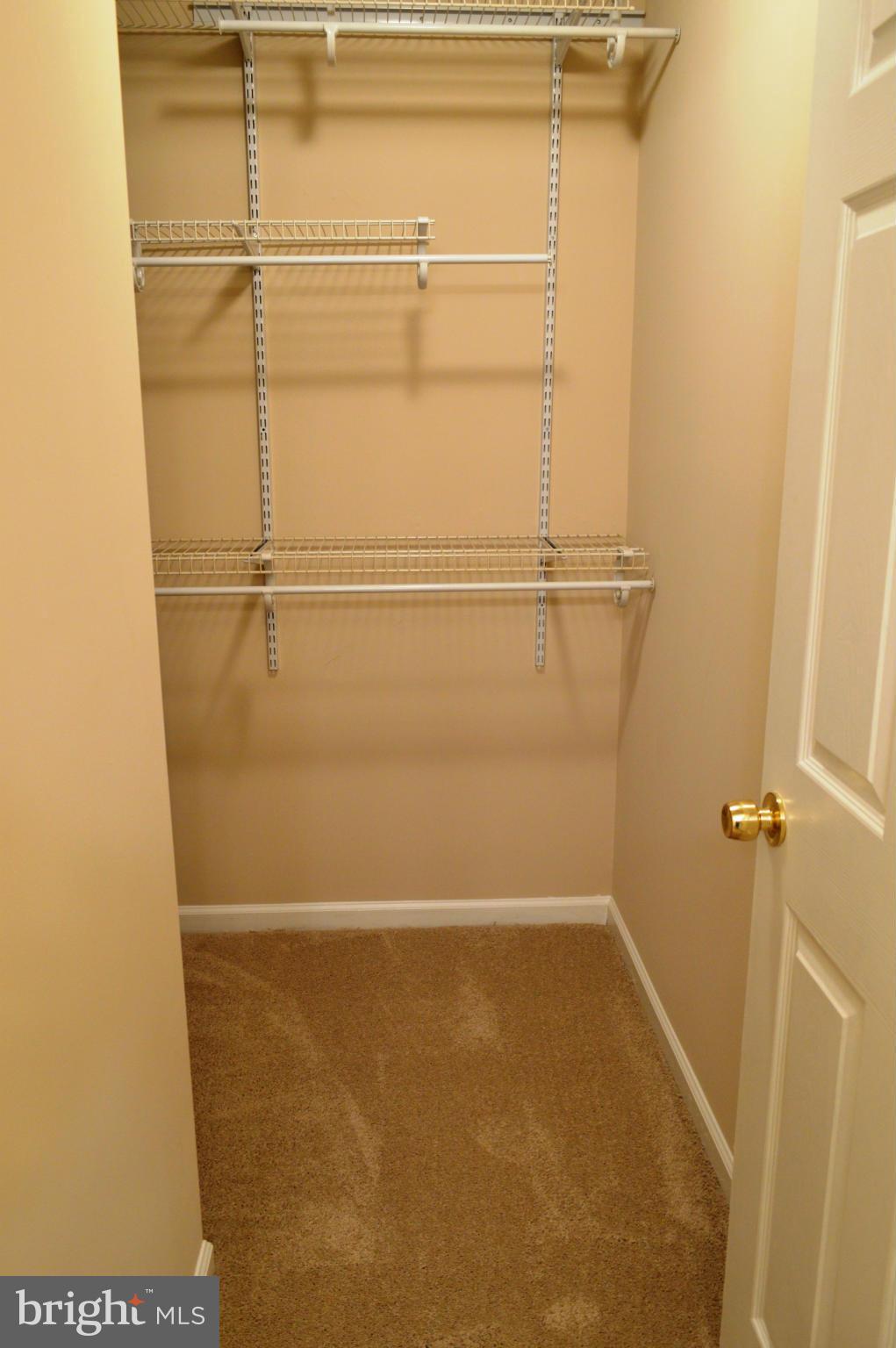 CHESTNUT HILL COVE - Residential