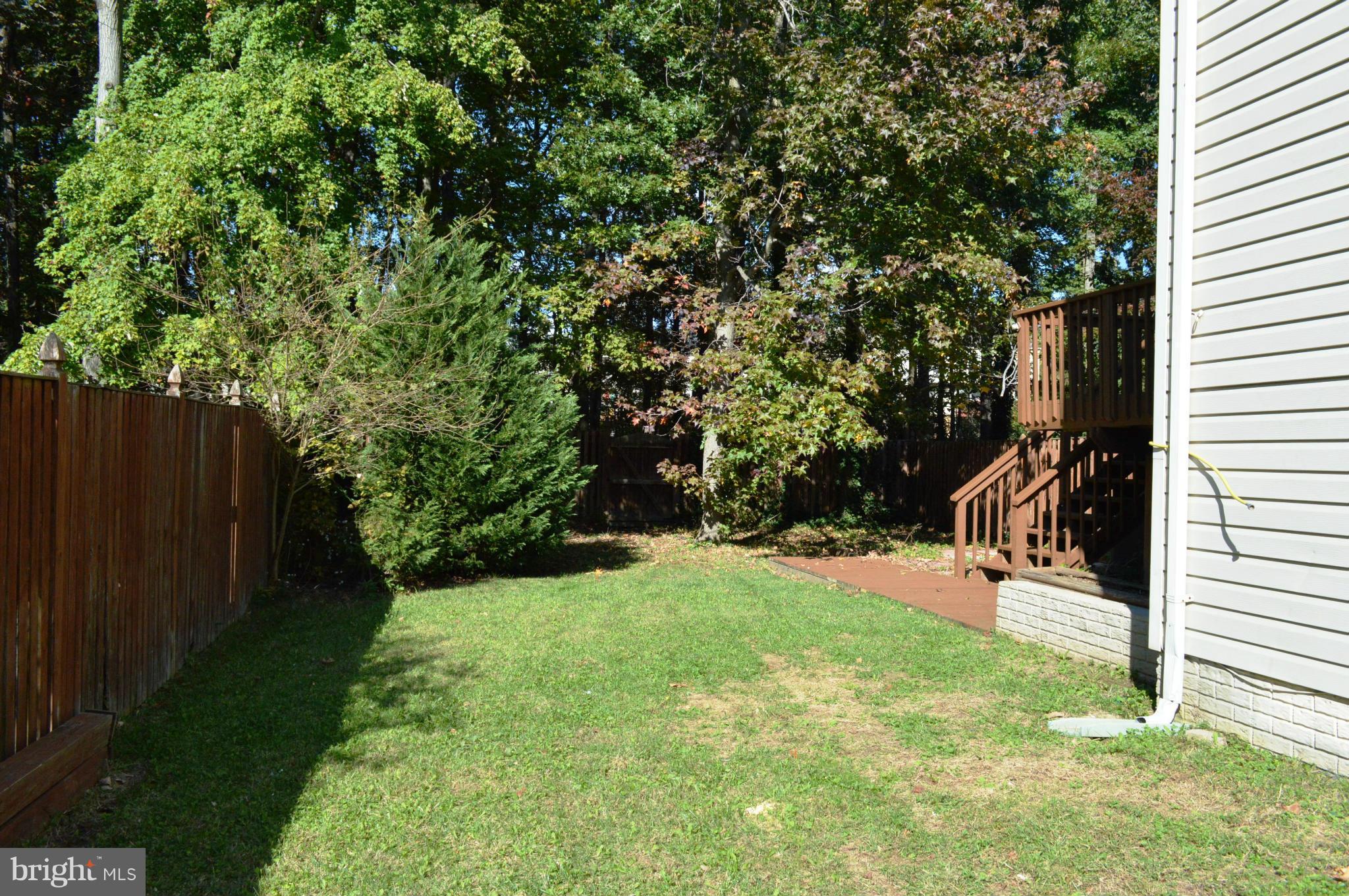 CHESTNUT HILL COVE - Residential