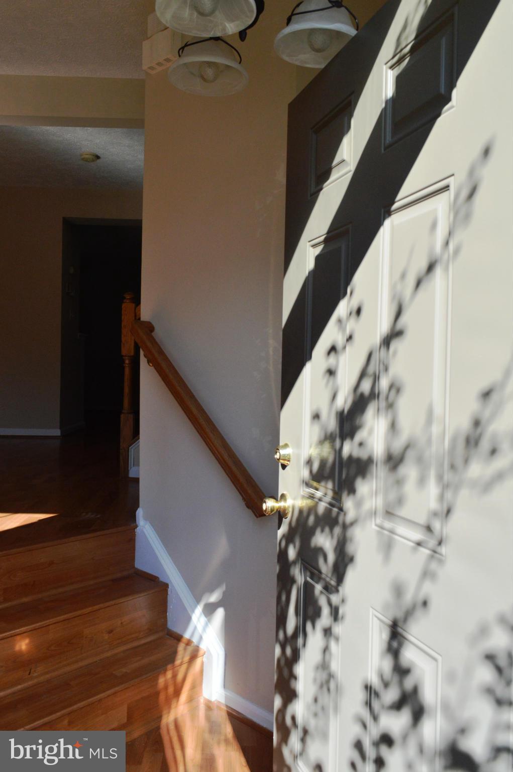 CHESTNUT HILL COVE - Residential