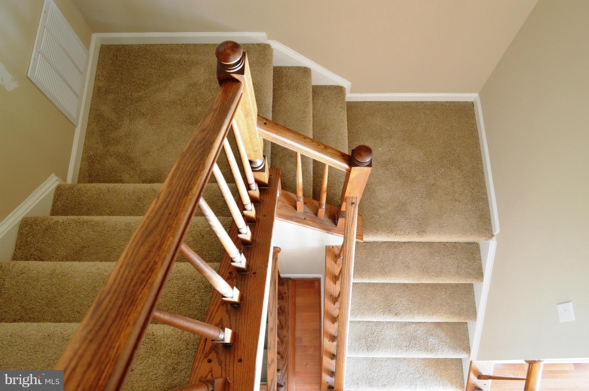 CHESTNUT HILL COVE - Residential