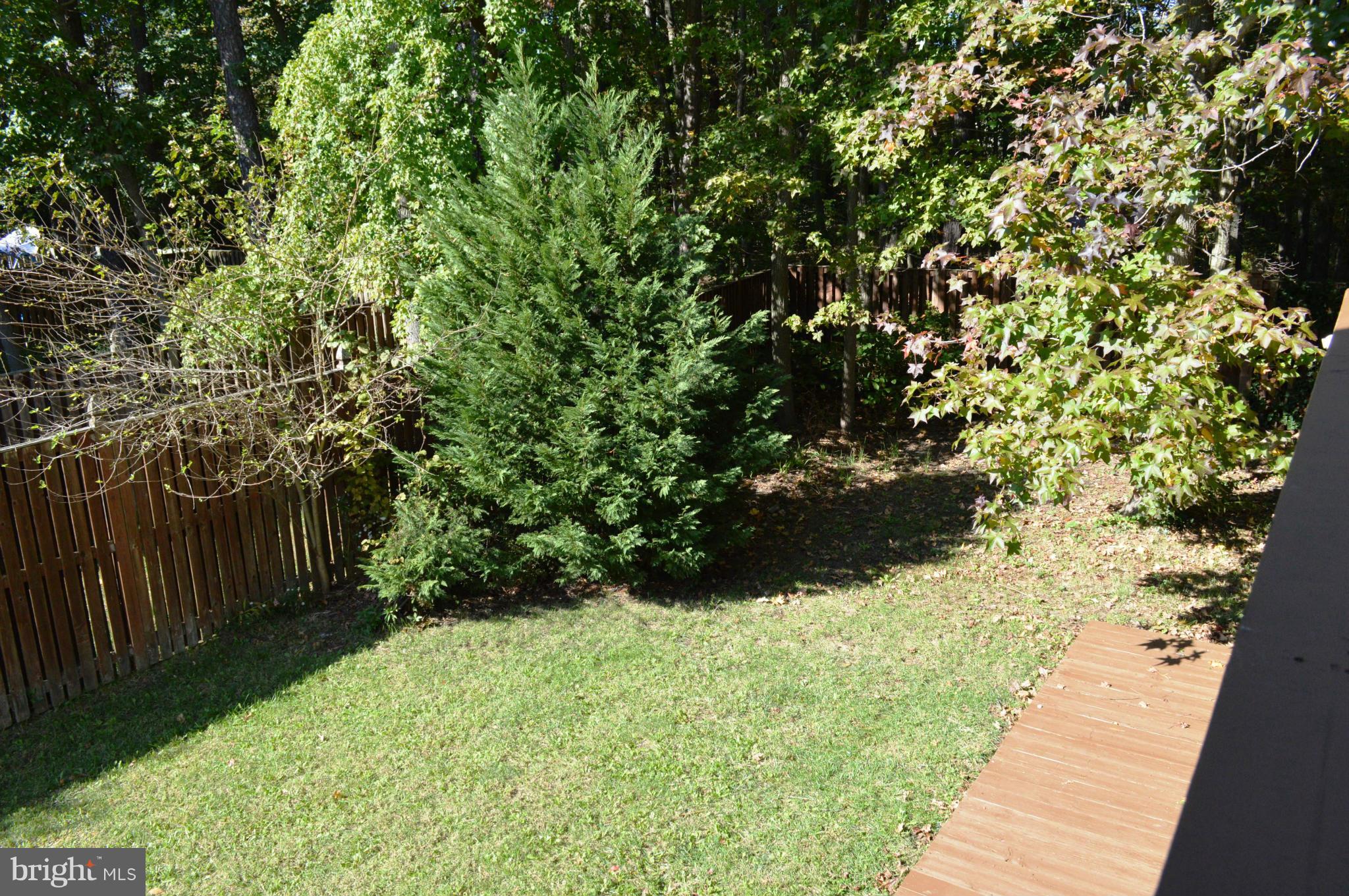 CHESTNUT HILL COVE - Residential