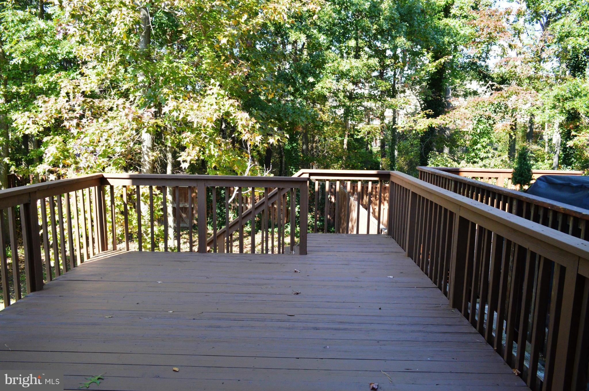 CHESTNUT HILL COVE - Residential