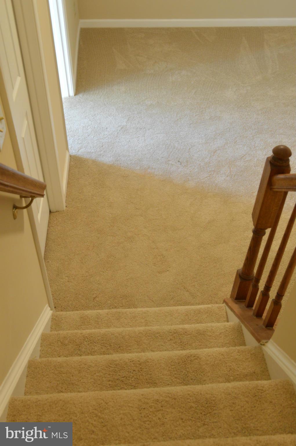 CHESTNUT HILL COVE - Residential