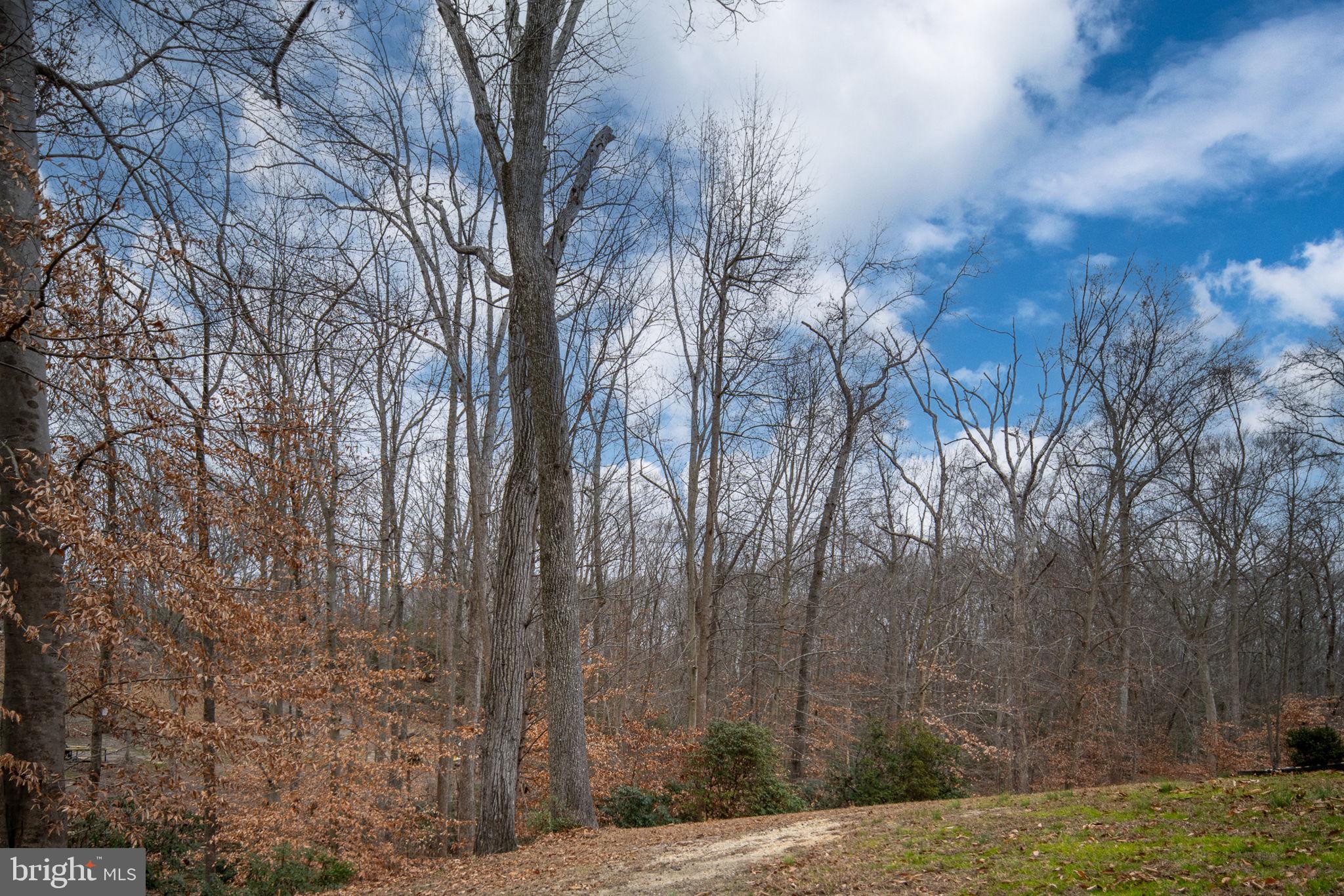 BROOKE RIDGE - Residential