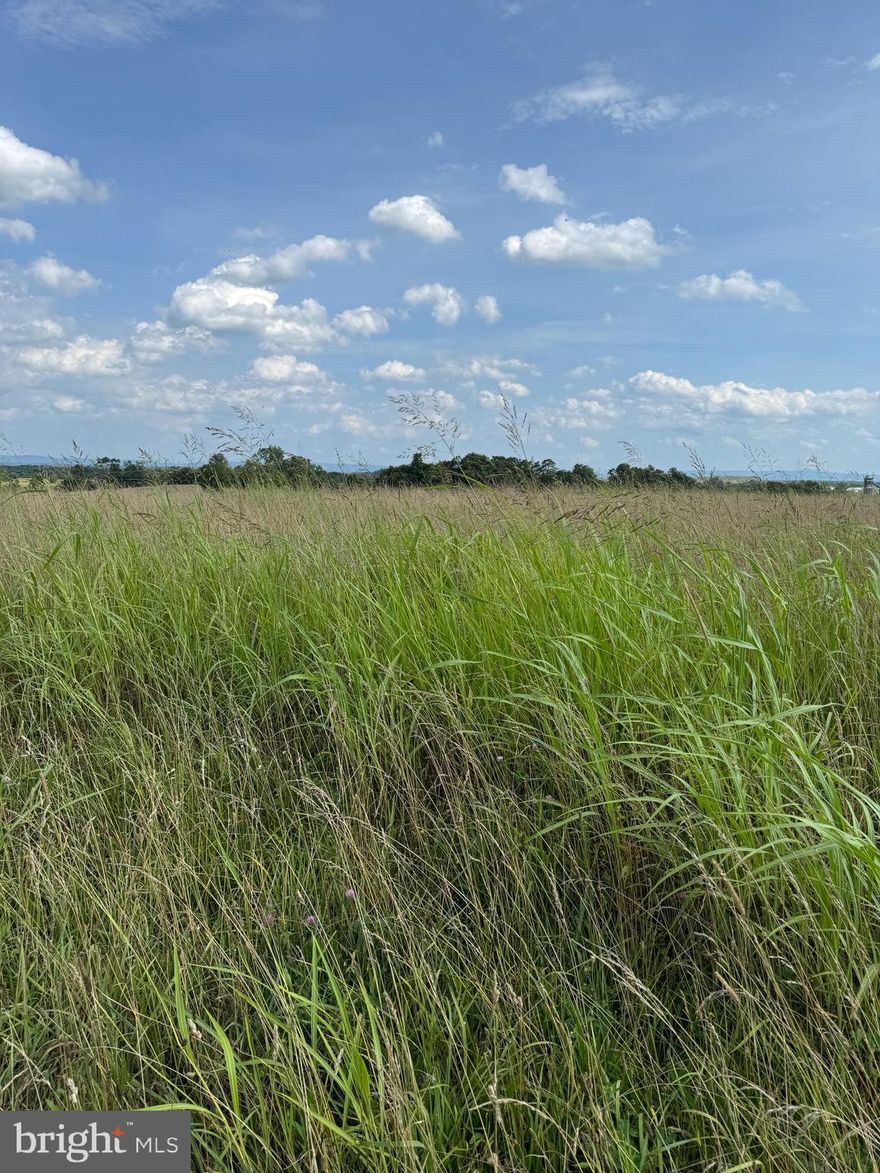 Discover the perfect setting for your dream home in this beautiful new subdivision located in the charming community of Clear Brook, VA. This 2.01-acre homesite offers gently rolling land with a serene rural feel, yet is conveniently close to major commuter routes, shopping, and schools. The lot is ready for your custom build—bring your vision and create the lifestyle you’ve always wanted. Enjoy peaceful surroundings, scenic views, and the opportunity to own a slice of Virginia countryside. Don’t miss this chance to build in one of Clear Brook’s most desirable new neighborhoods!