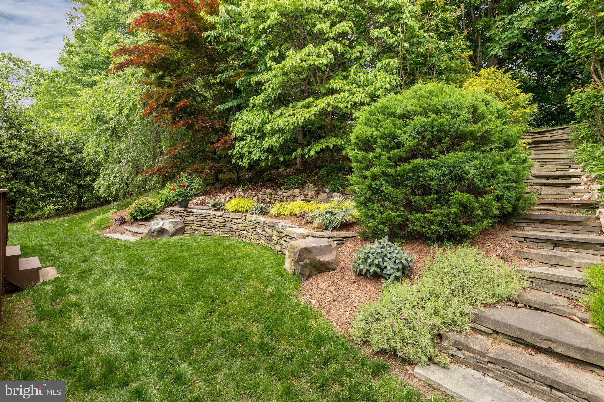 SOUTH RUN OAKS - Residential