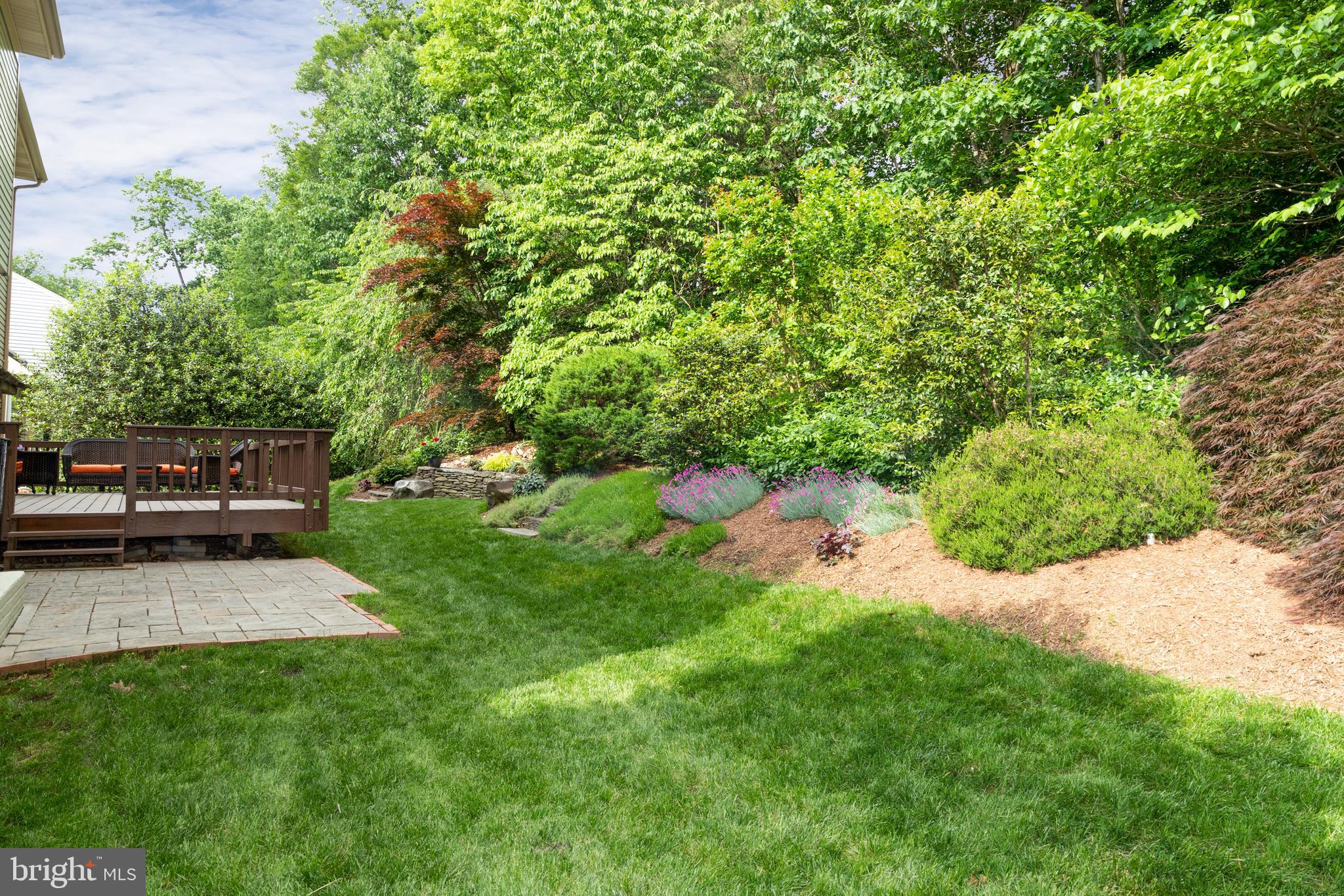 SOUTH RUN OAKS - Residential