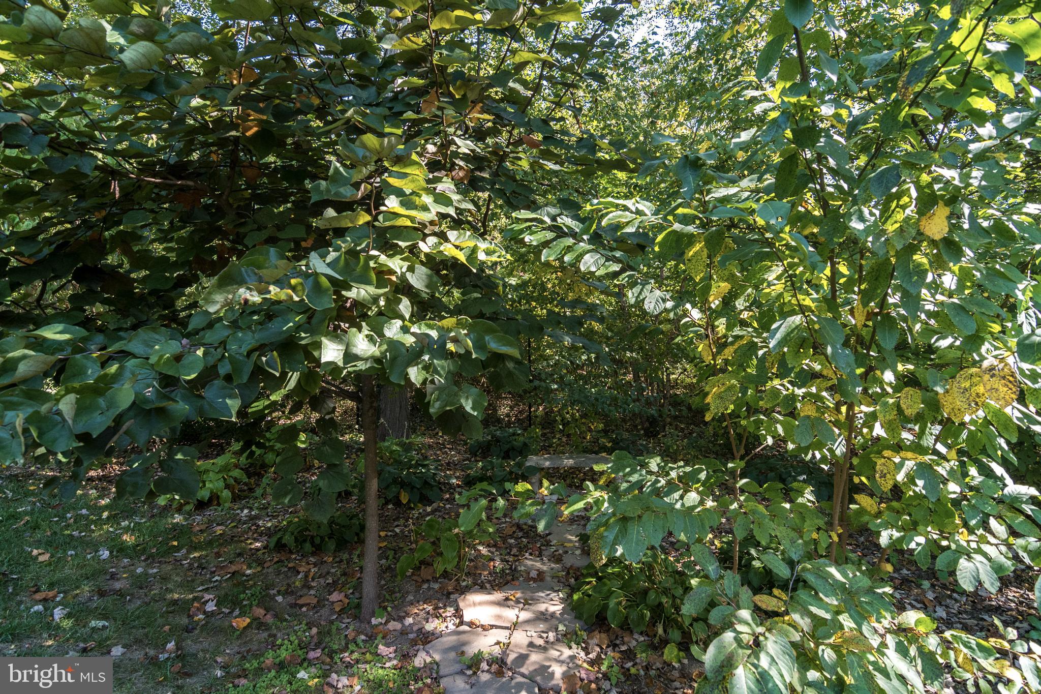 LAFAYETTE HILL - Residential