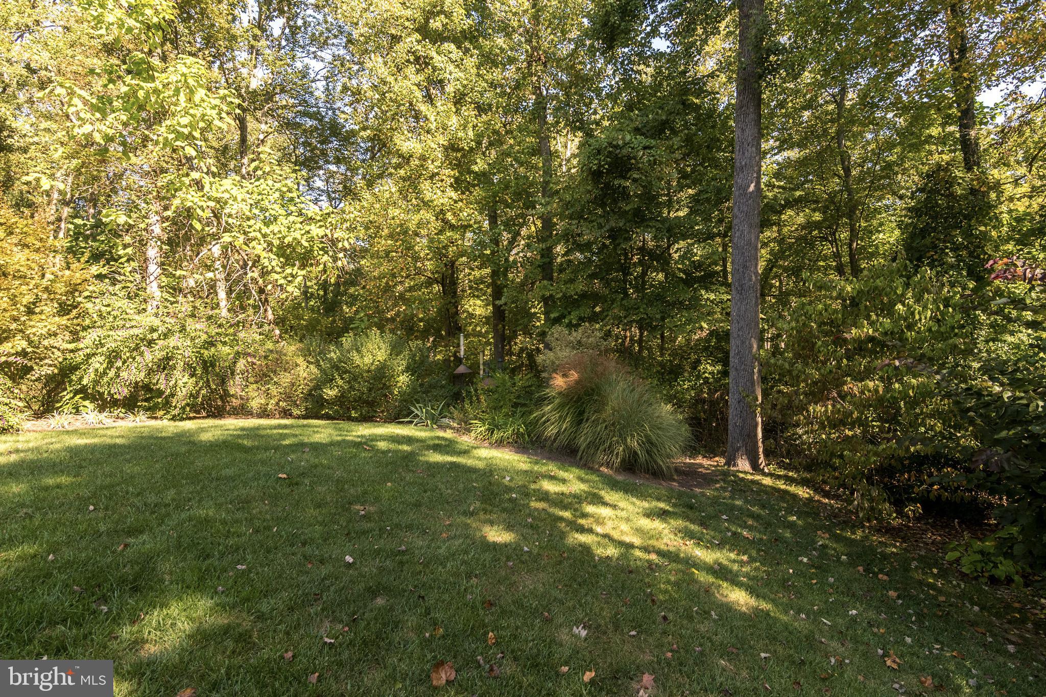 LAFAYETTE HILL - Residential