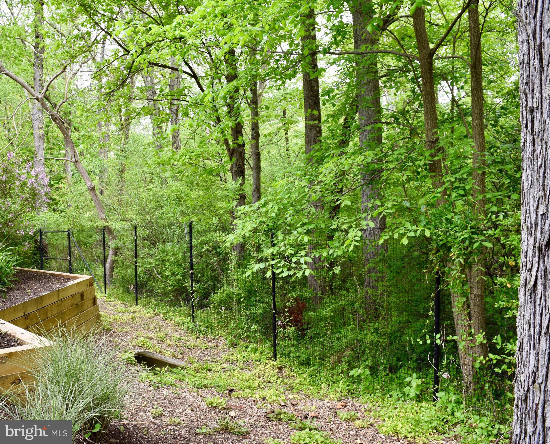 LAFAYETTE HILL - Residential