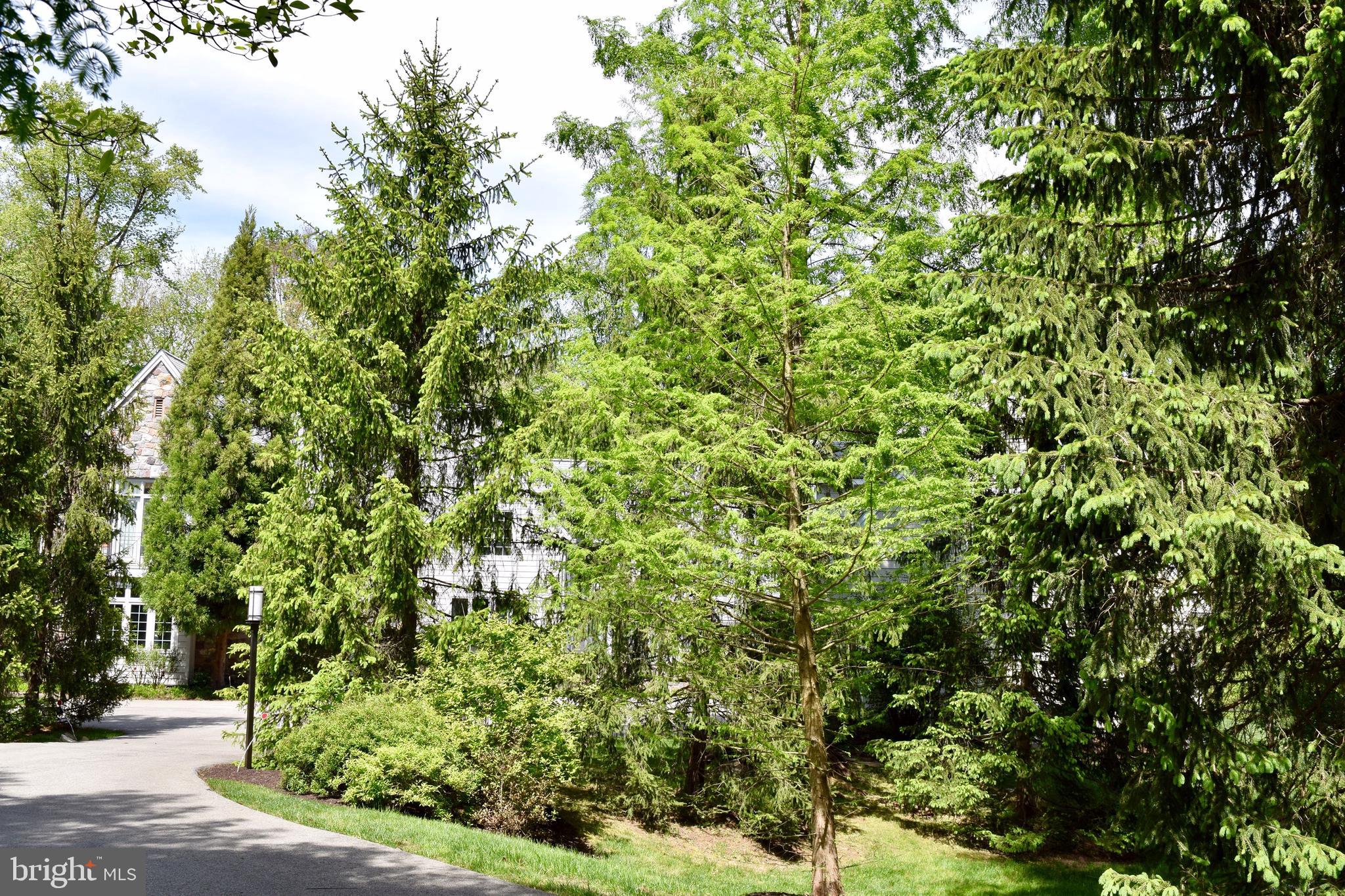 LAFAYETTE HILL - Residential