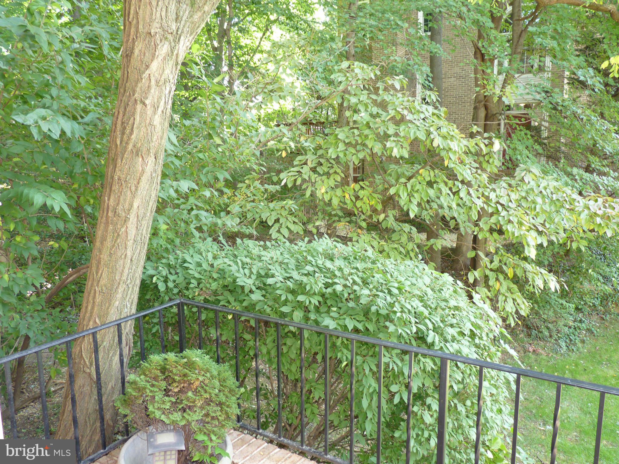 WOODSIDE - Residential Lease