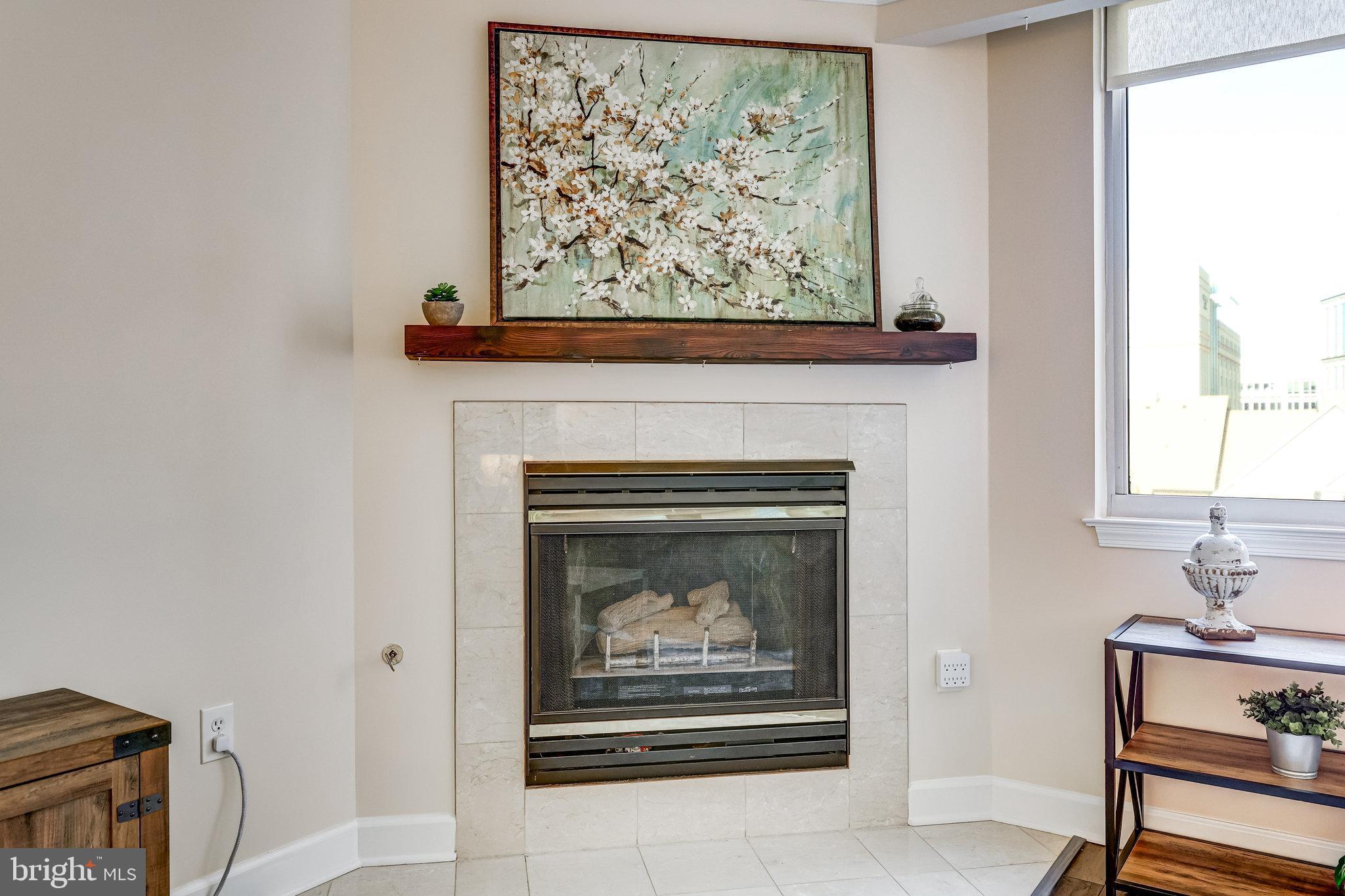 THE WILLIAMSBURG - Residential