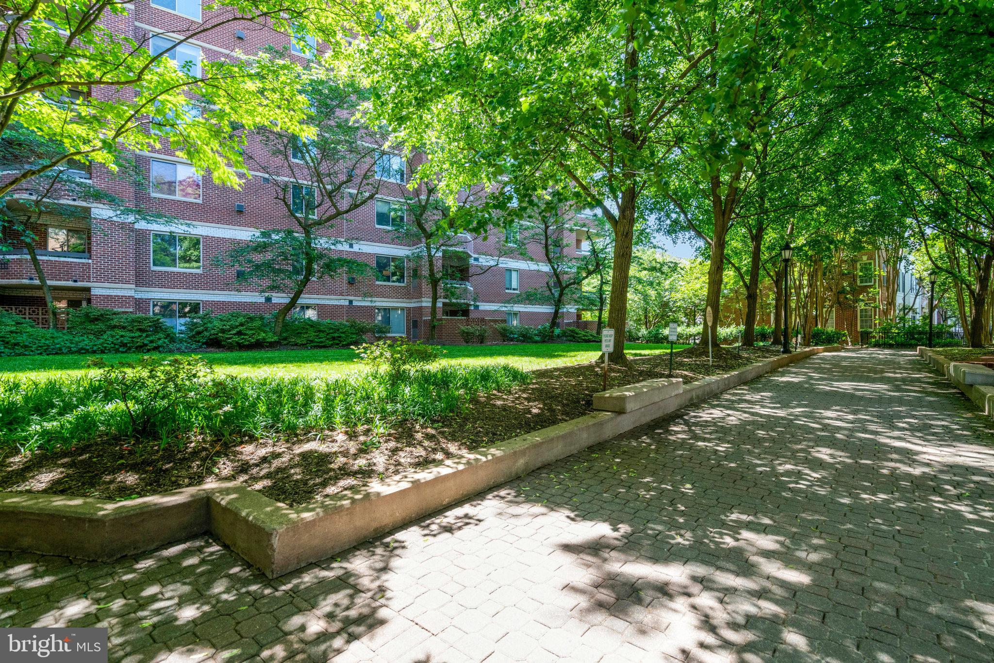 THE WILLIAMSBURG - Residential