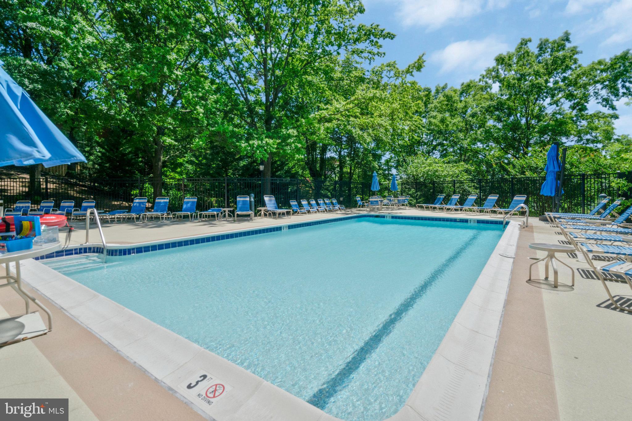 THE WILLIAMSBURG - Residential