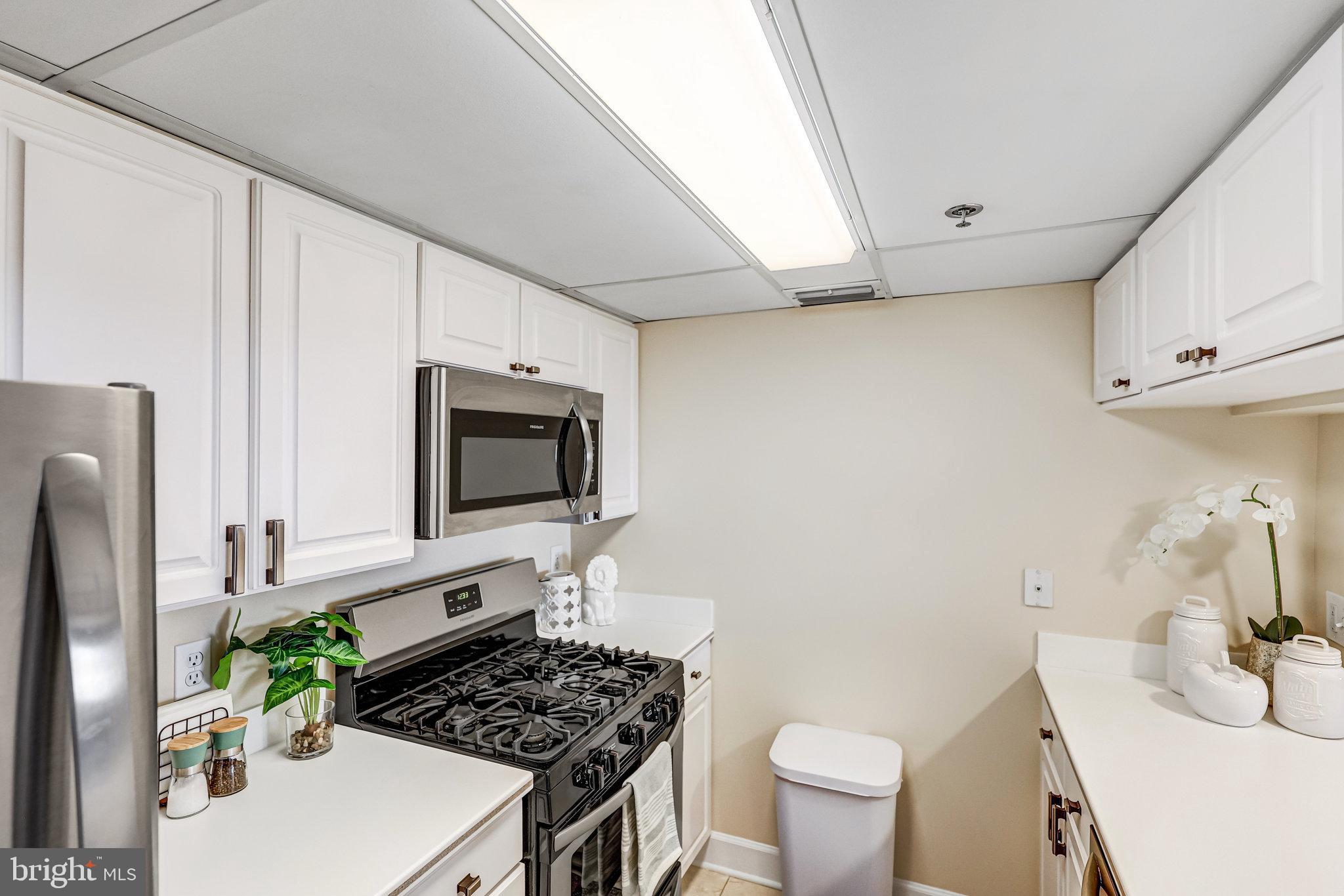 THE WILLIAMSBURG - Residential