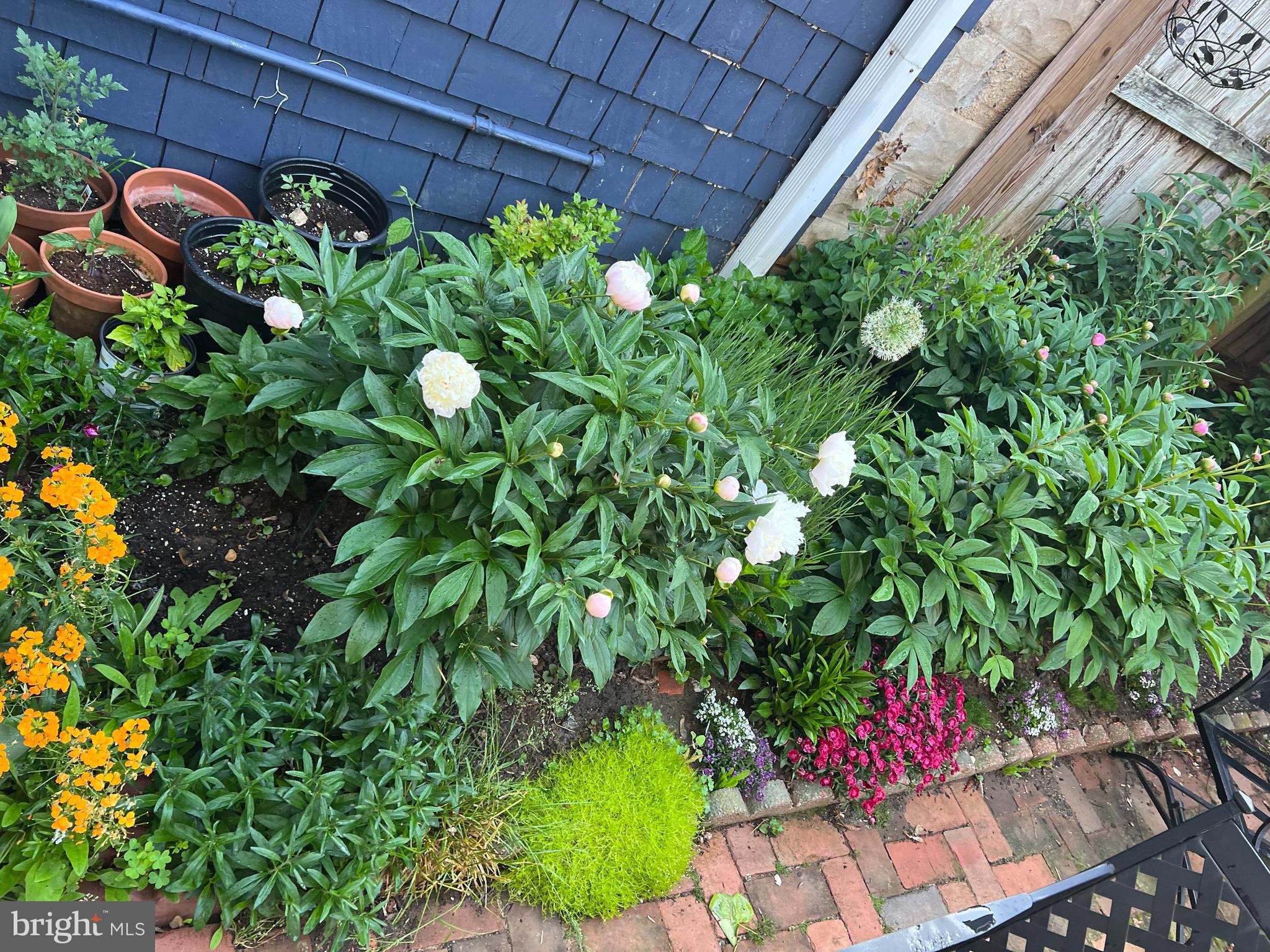 HISTORIC DISTRICT - Residential